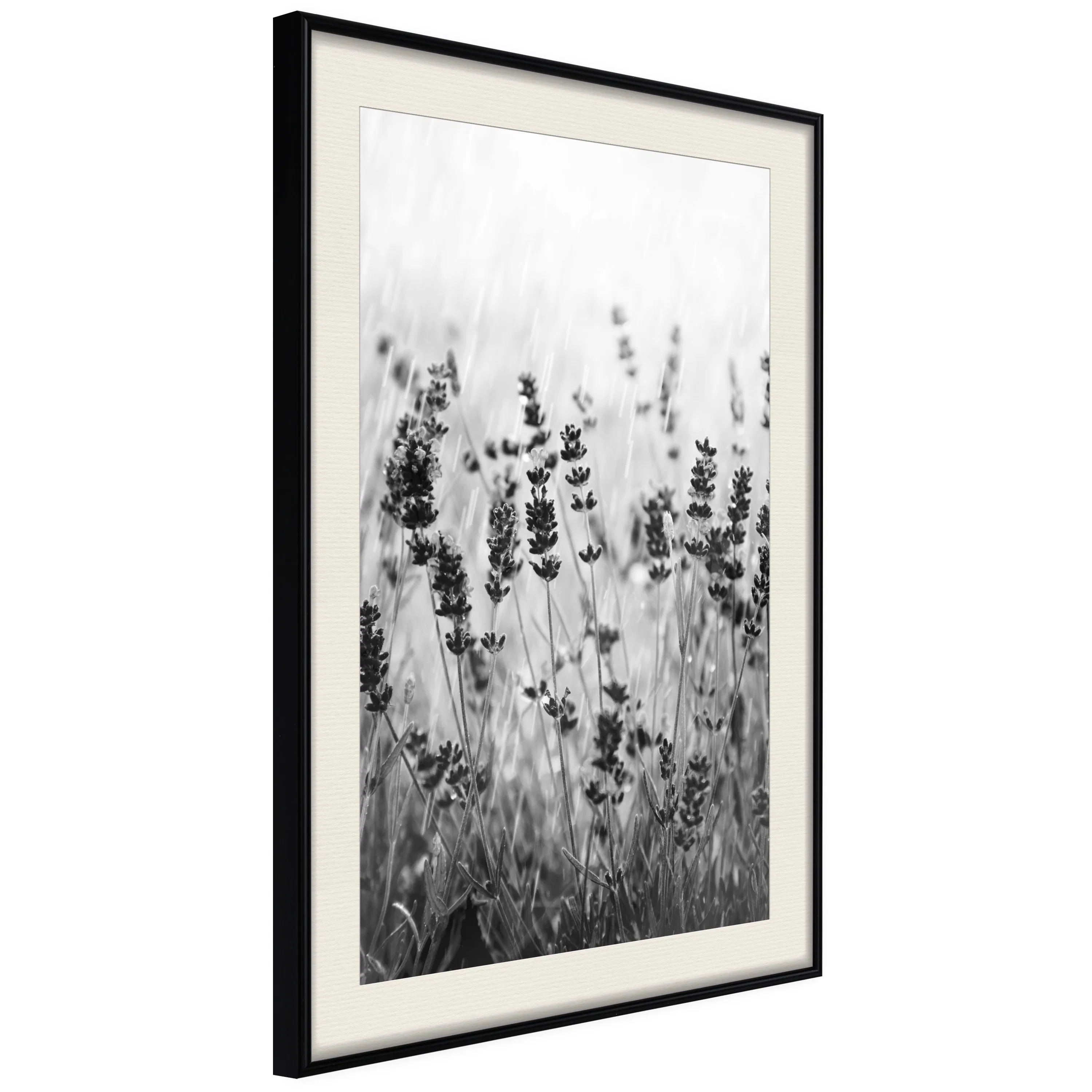 Poster Artgeist Affisch Lavender in the Rain