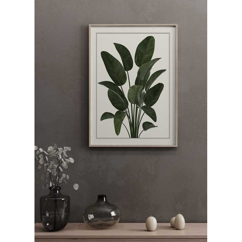 Poster Gallerix Strelitzia