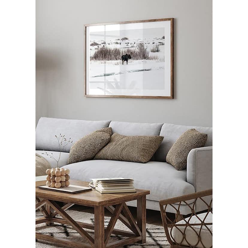 Poster Gallerix Moose In Snow