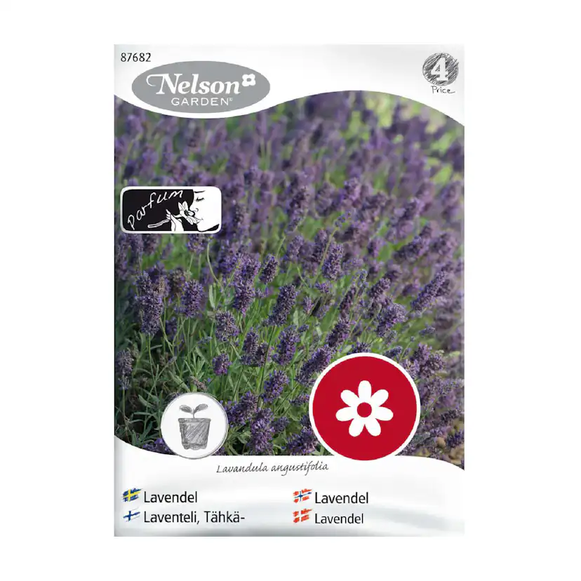 Frö Lavendel Nelson Garden