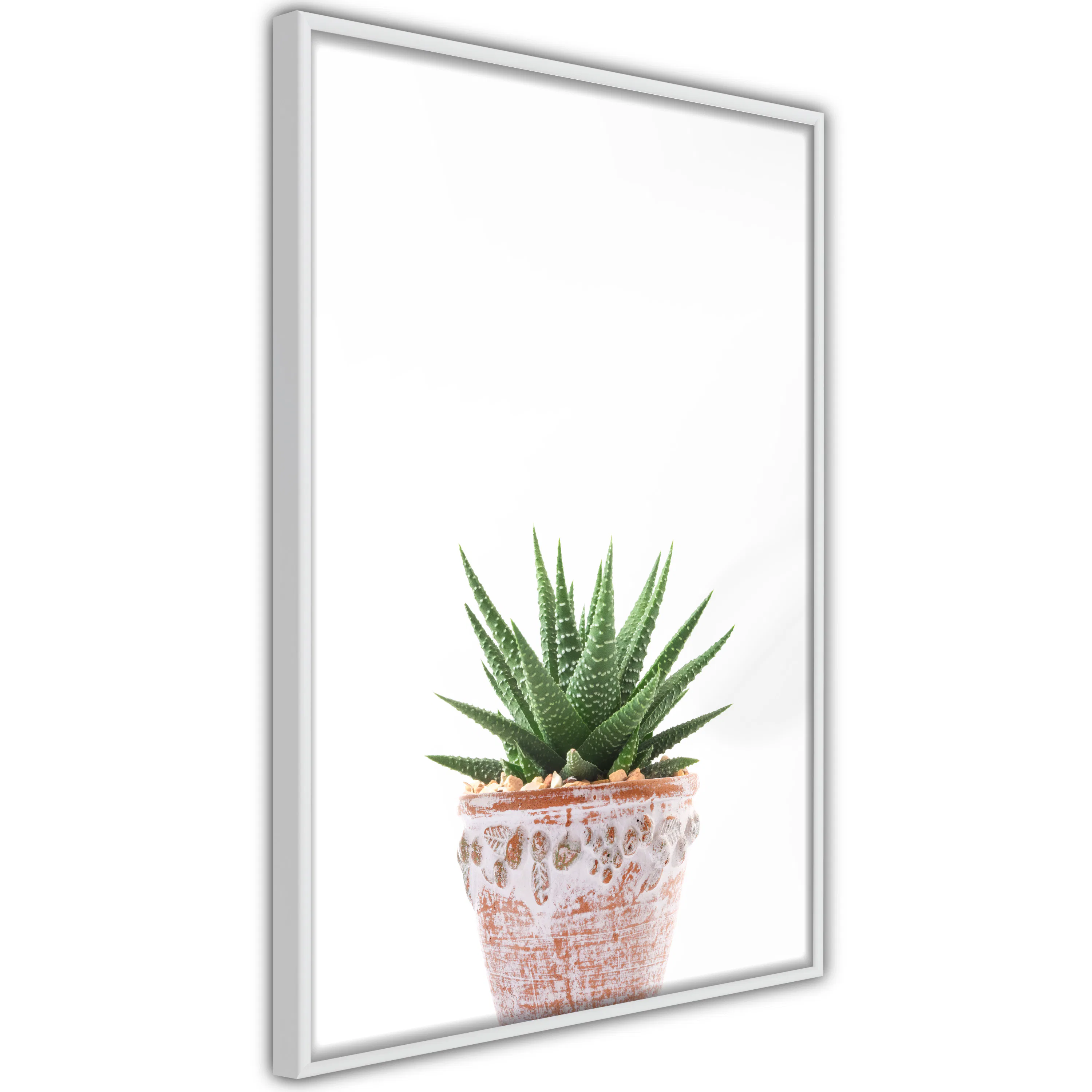 Poster Artgeist Affisch Succulents In Pot