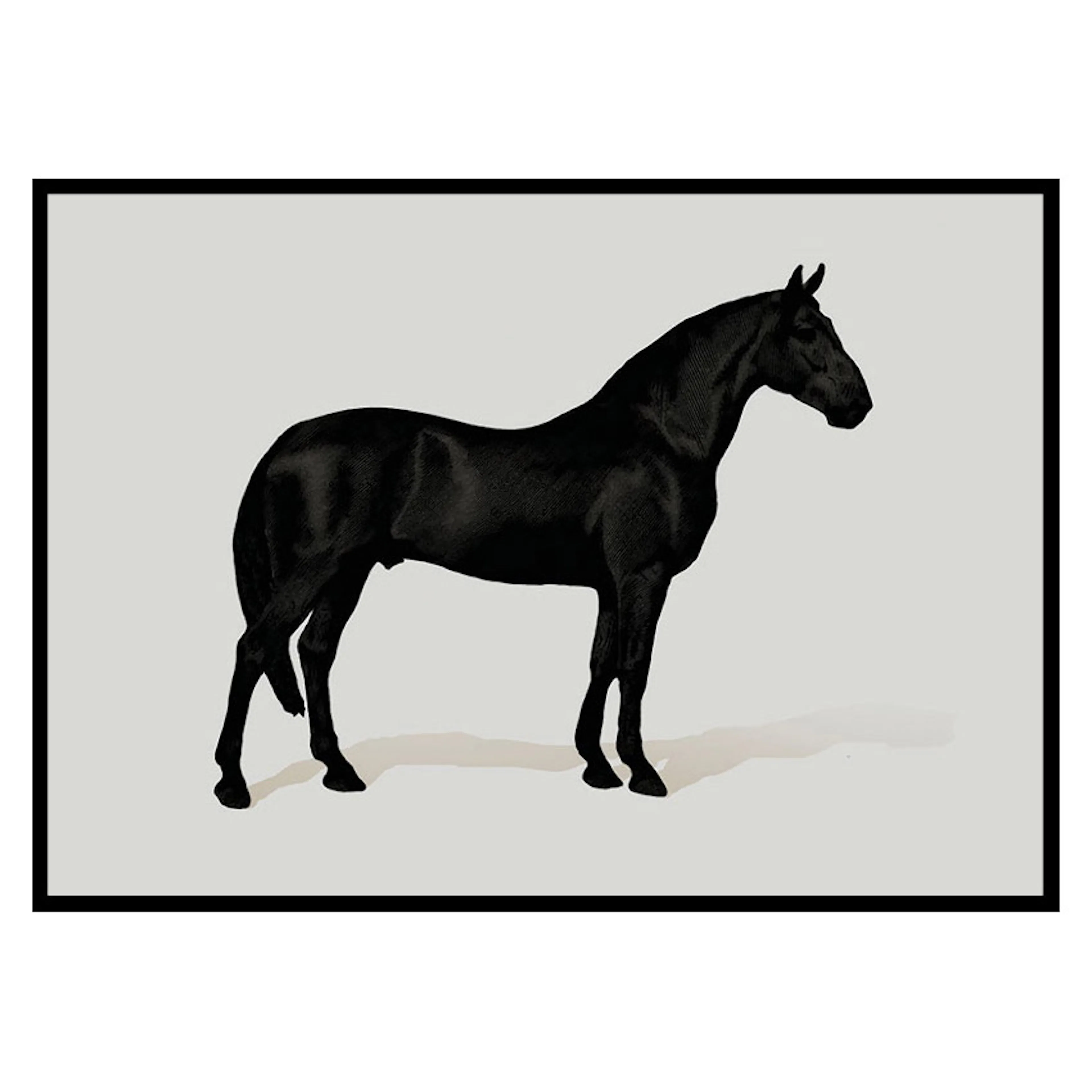 Poster Gallerix Black Horse Land. Drawing