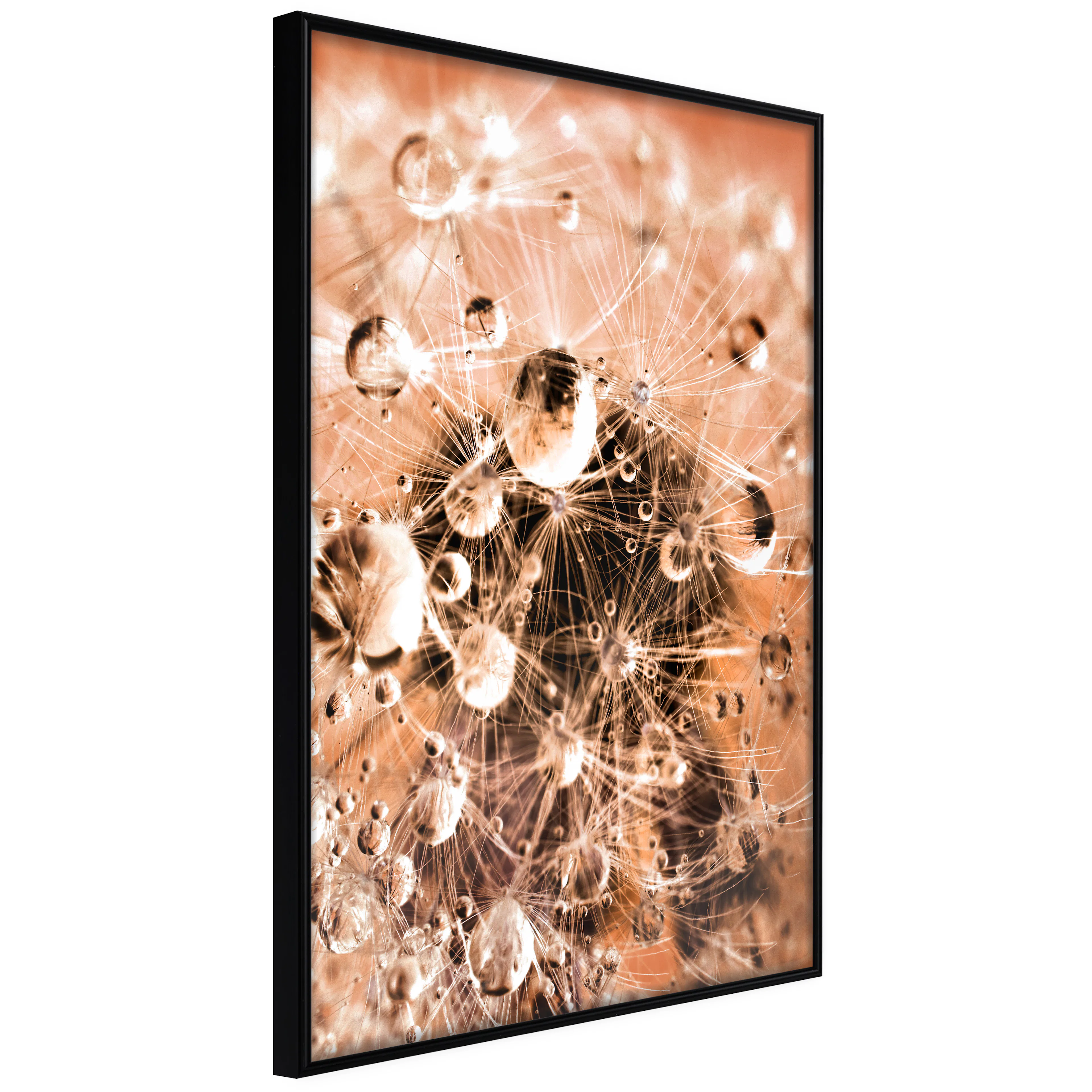 Affisch - Morning Moments [Poster] 40x60 Svart ram, 40x60 cm
