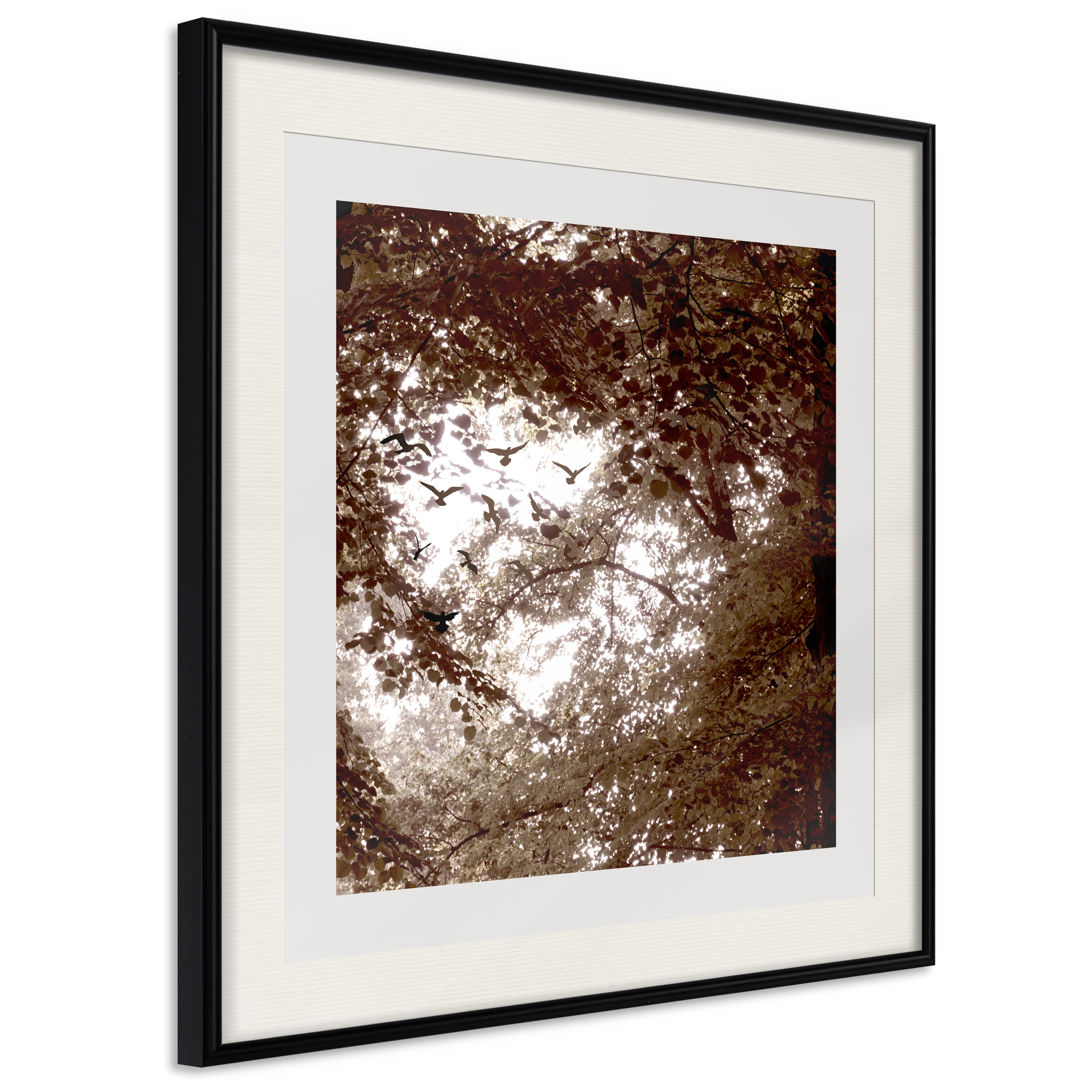 Affisch - Freedom [Poster] 30x30 Svart ram med passepartout, 30x30 cm