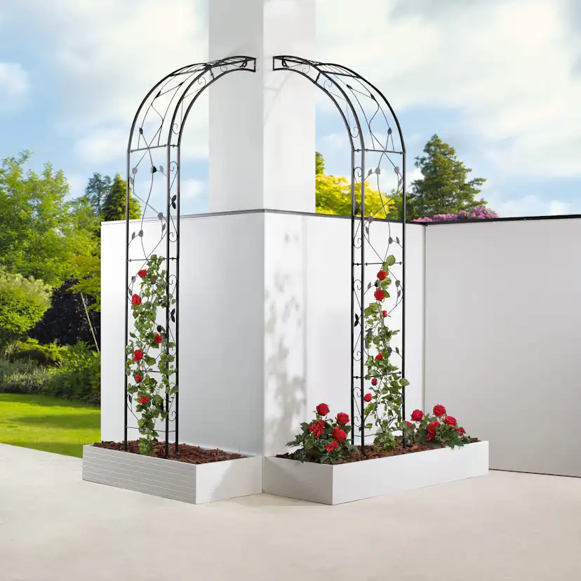 Rosenbåge Hortus Svart Metall Trädgårdsportal för Klätterväxter