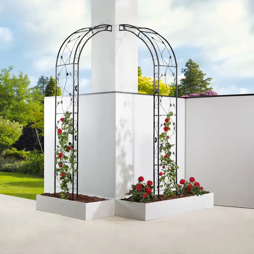 Rosenbåge Hortus Svart Metall Trädgårdsportal för Klätterväxter