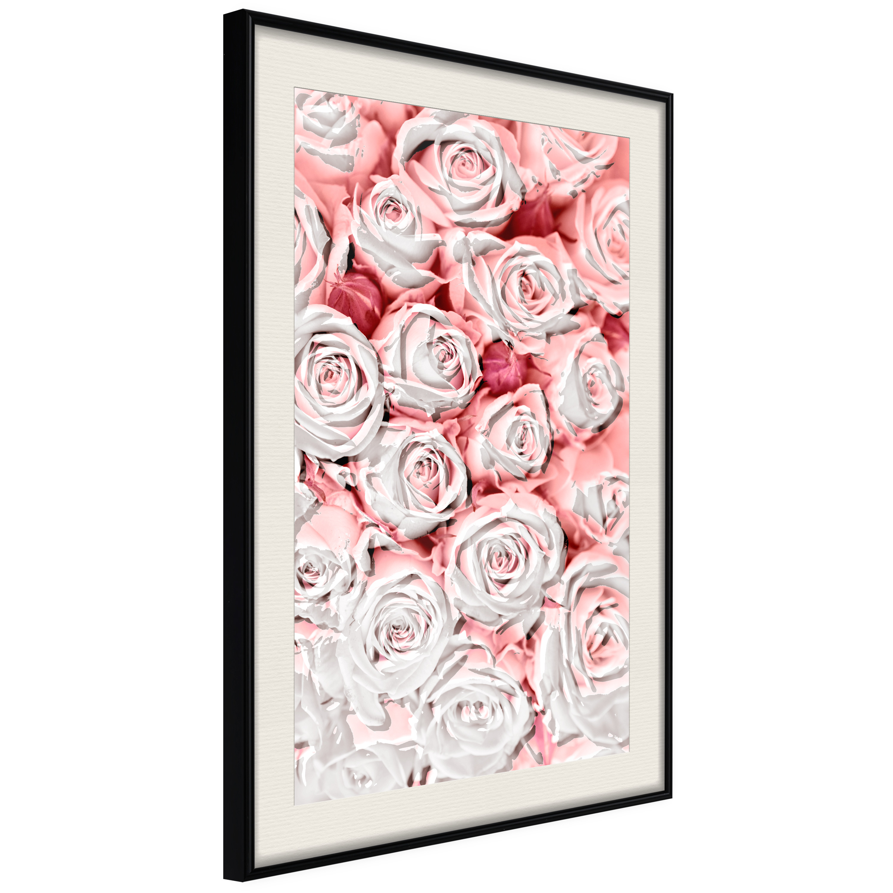 Affisch - White Roses [Poster] 40x60 Svart ram med passepartout, 40x60 cm