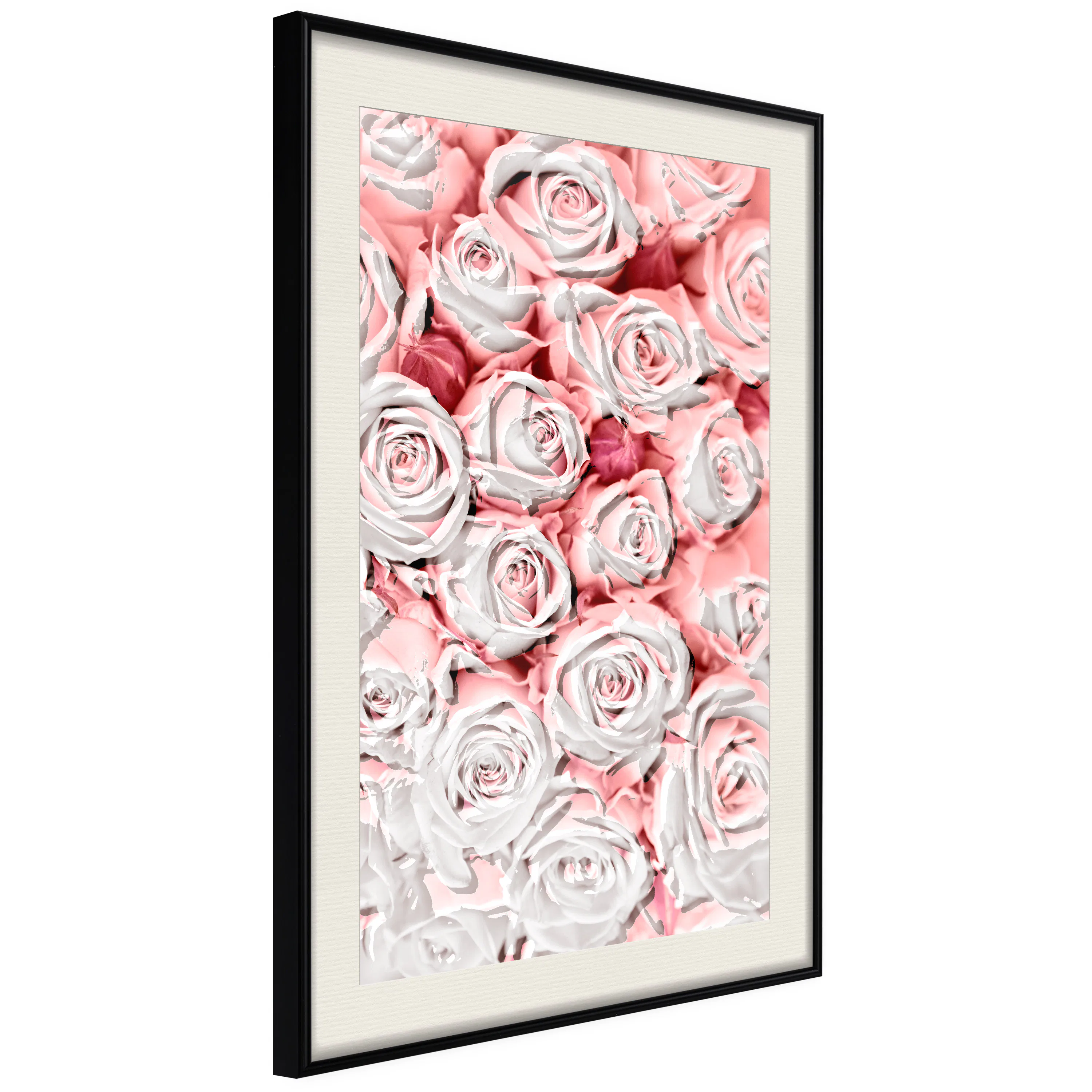 Poster Artgeist Affisch White Roses