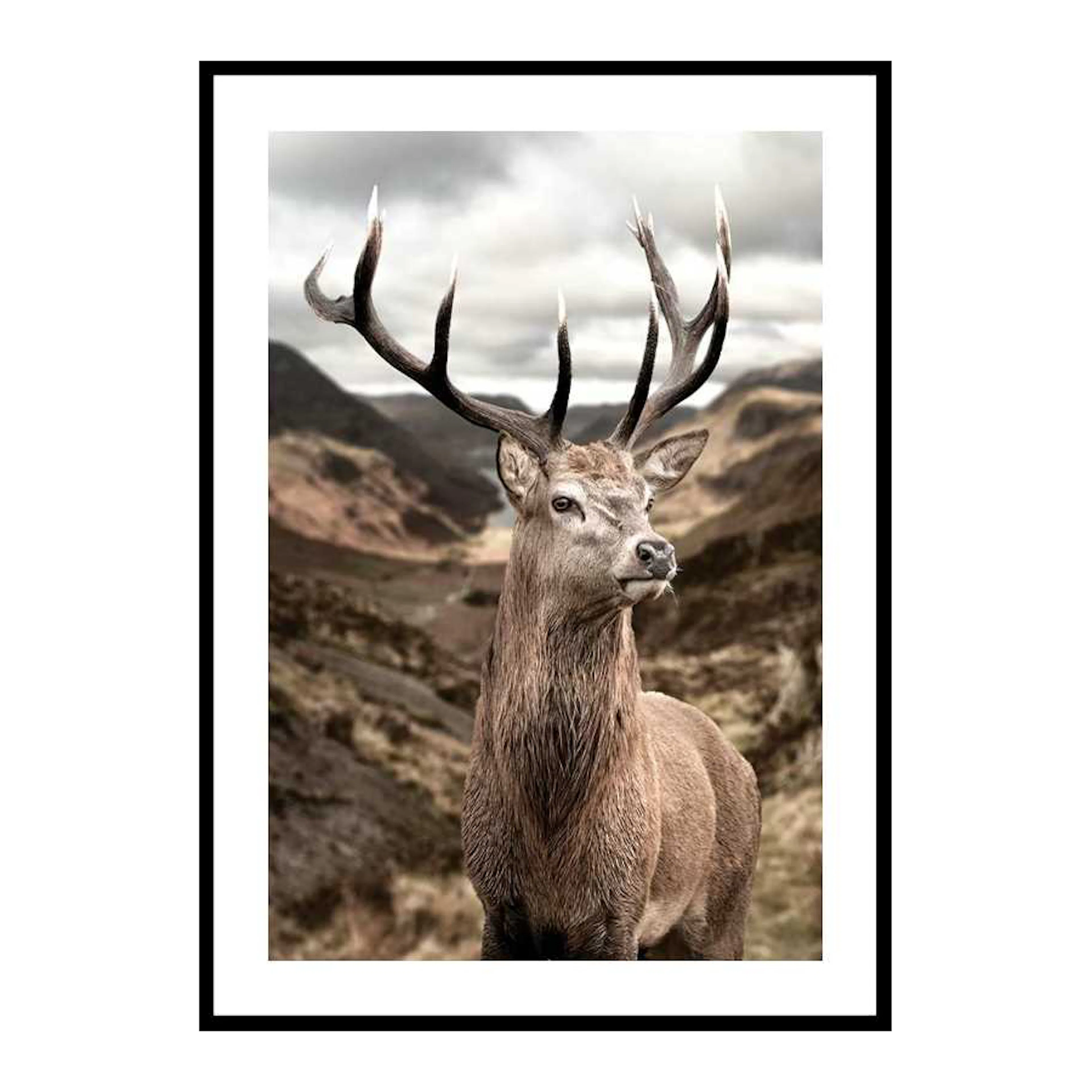 Deer In Mountain Landscape 30x40 cm