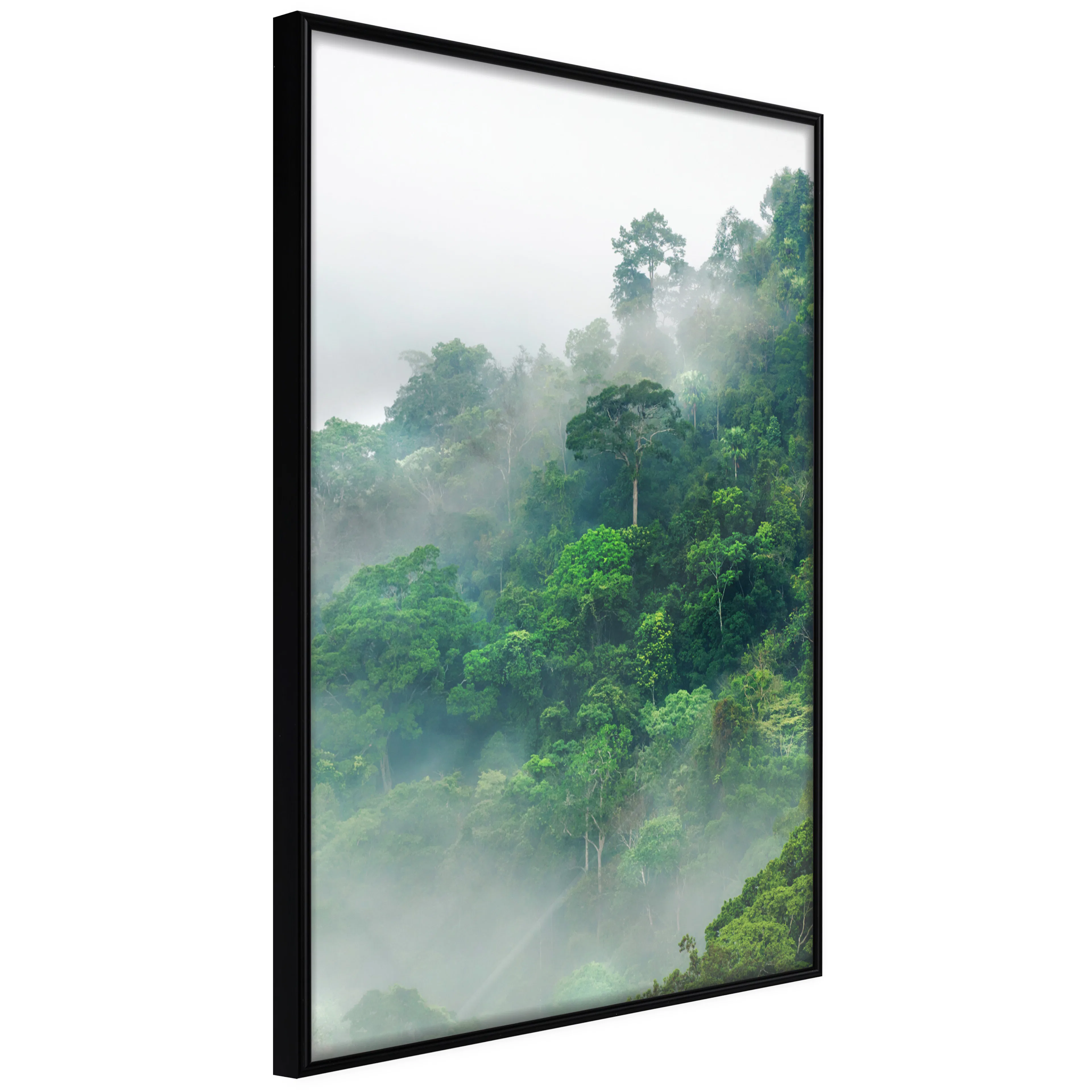 Affisch - Lush Forest [Poster] 40x60 Svart ram, 40x60 cm