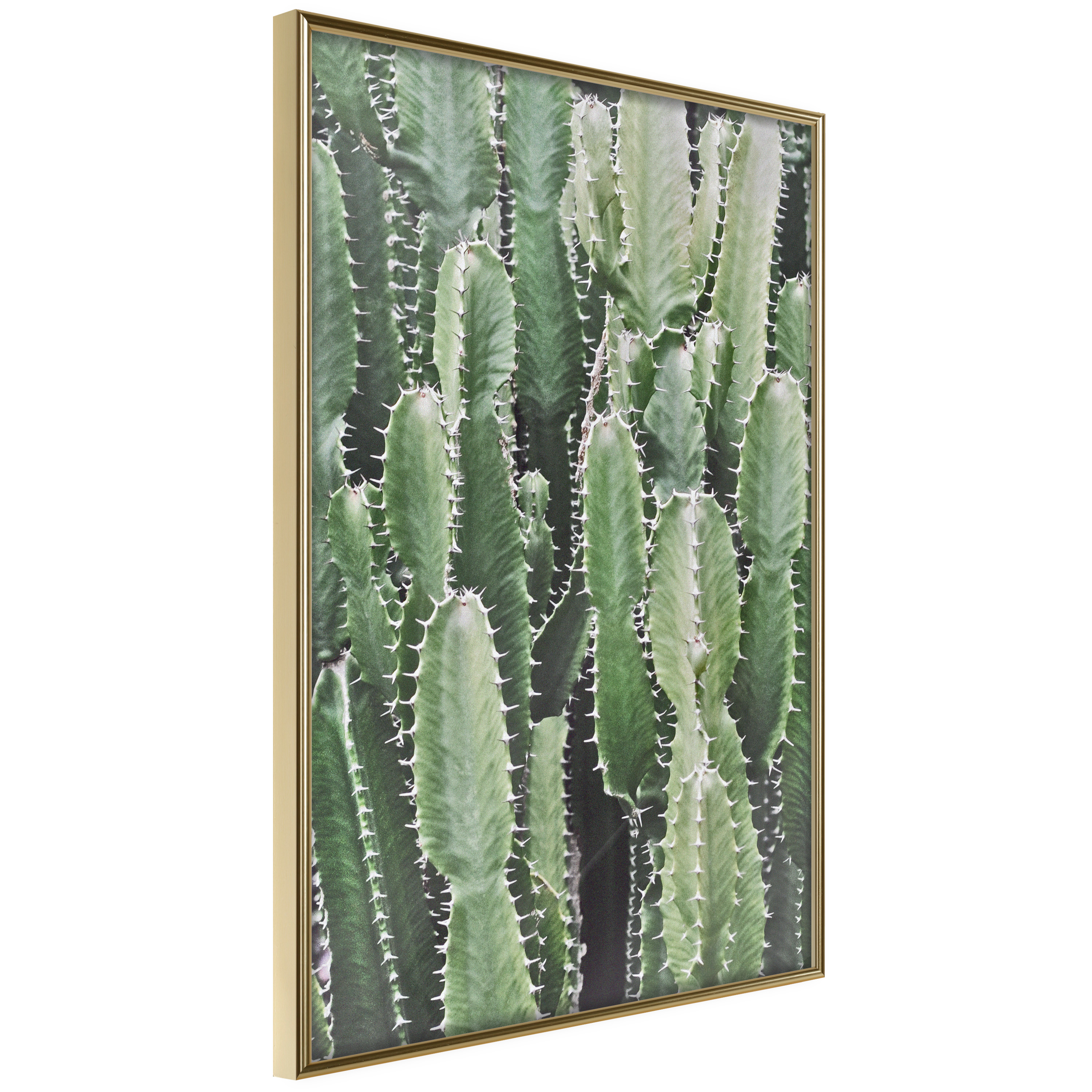 Affisch - Cactus Garden [Poster] 30x45 Guld ram, 30x45 cm