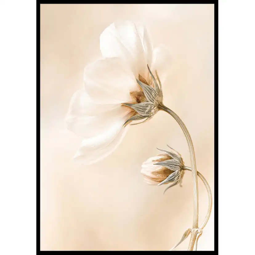 Poster Gallerix Spring Flowers No1