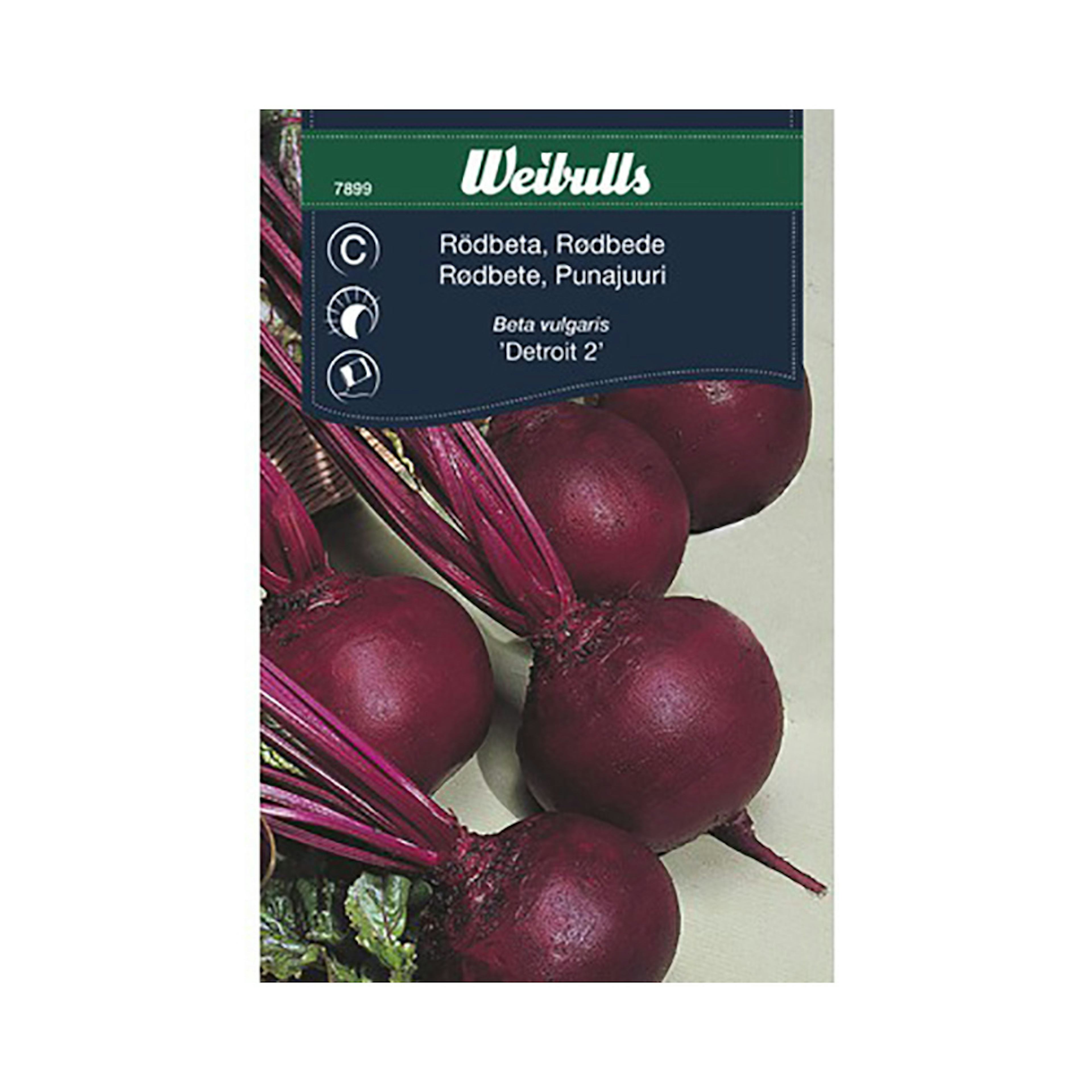 Frö Rödbeta Weibulls Detroit 2 Rund