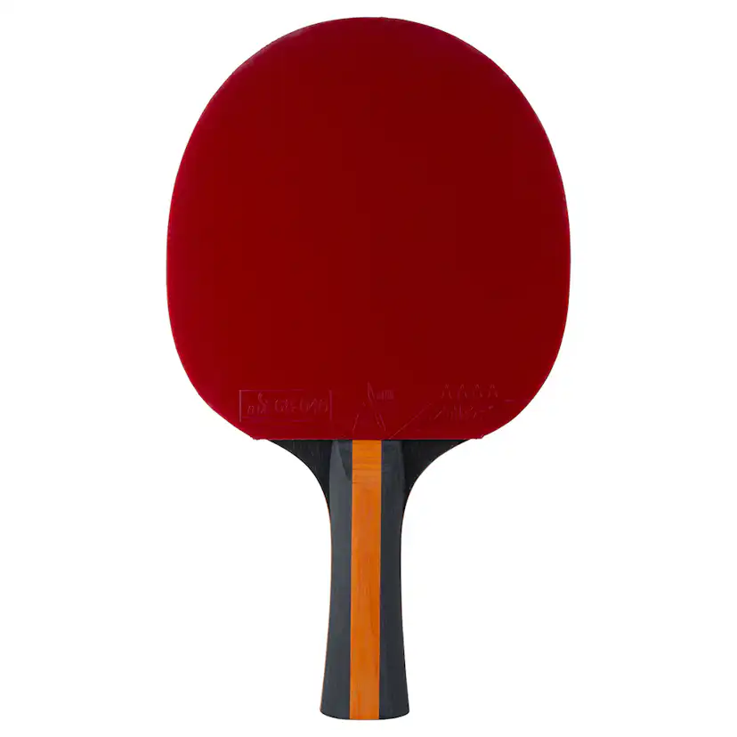 Pingisracket STIGA Sports 4-star Vision