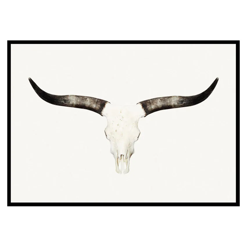 Poster Gallerix Animal Skull