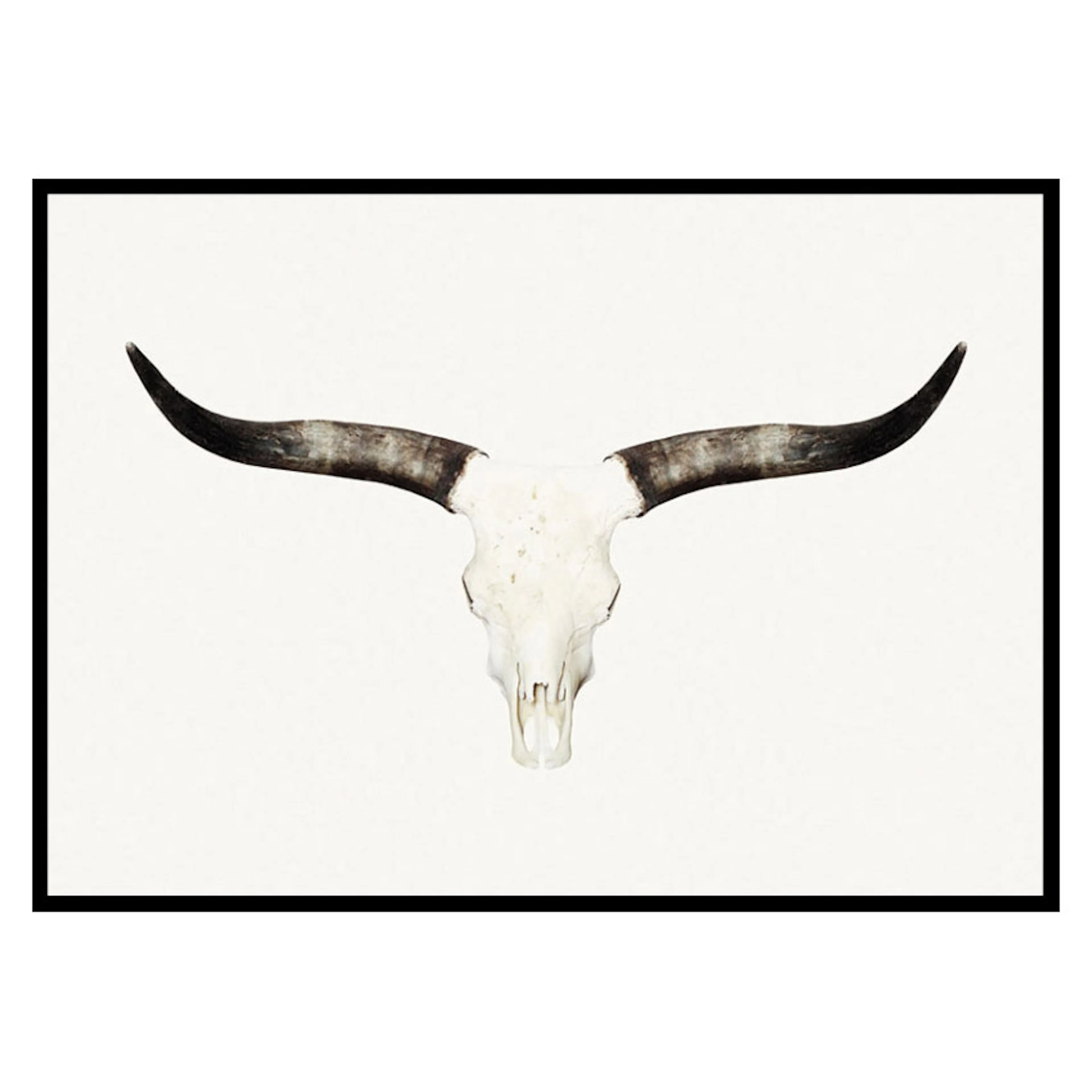 Poster Gallerix Animal Skull