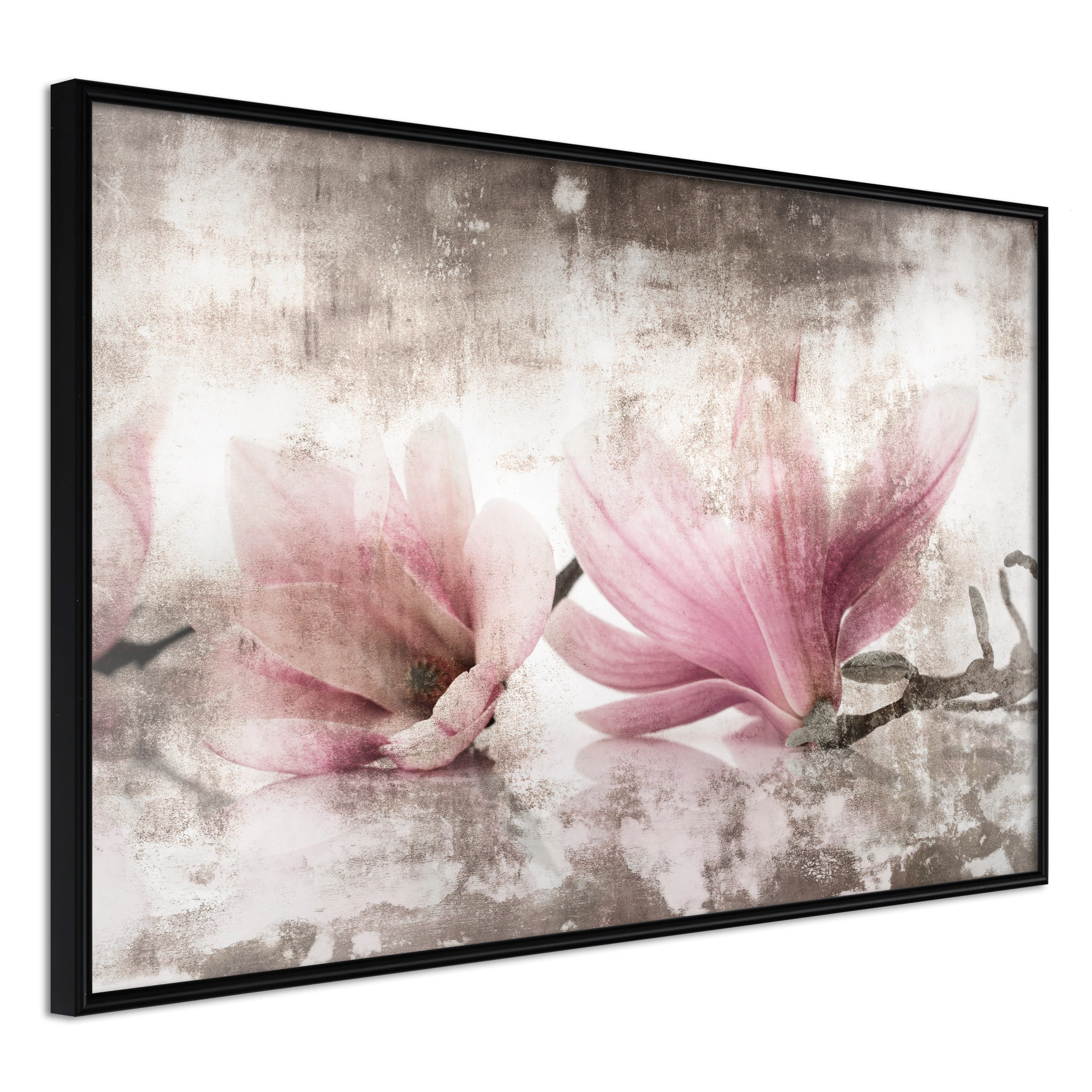 Affisch - Magnolia Memory [Poster] 60x40 Svart ram, 60x40 cm
