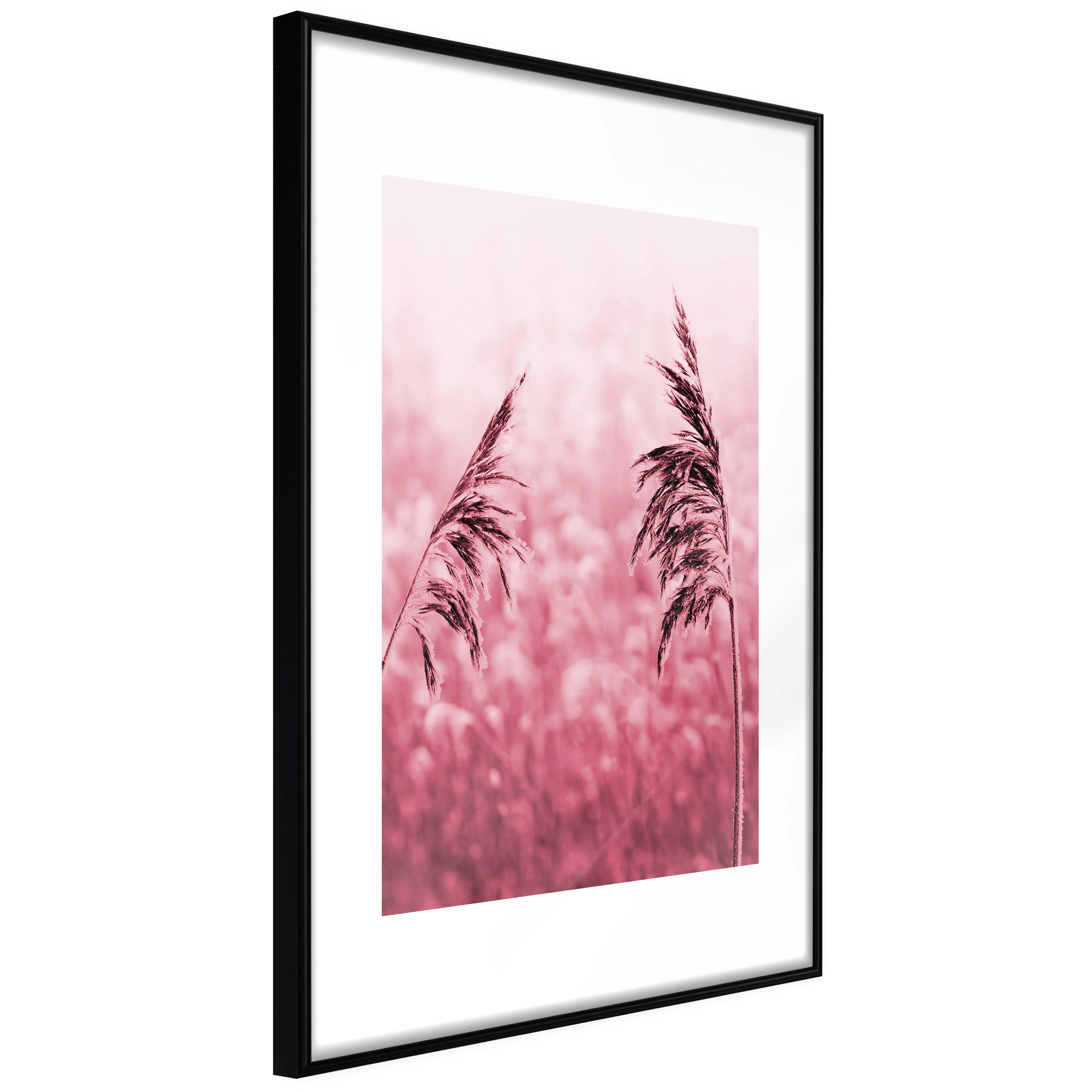 Affisch - Ruby Stalk [Poster] 40x60 Svart ram, 40x60 cm