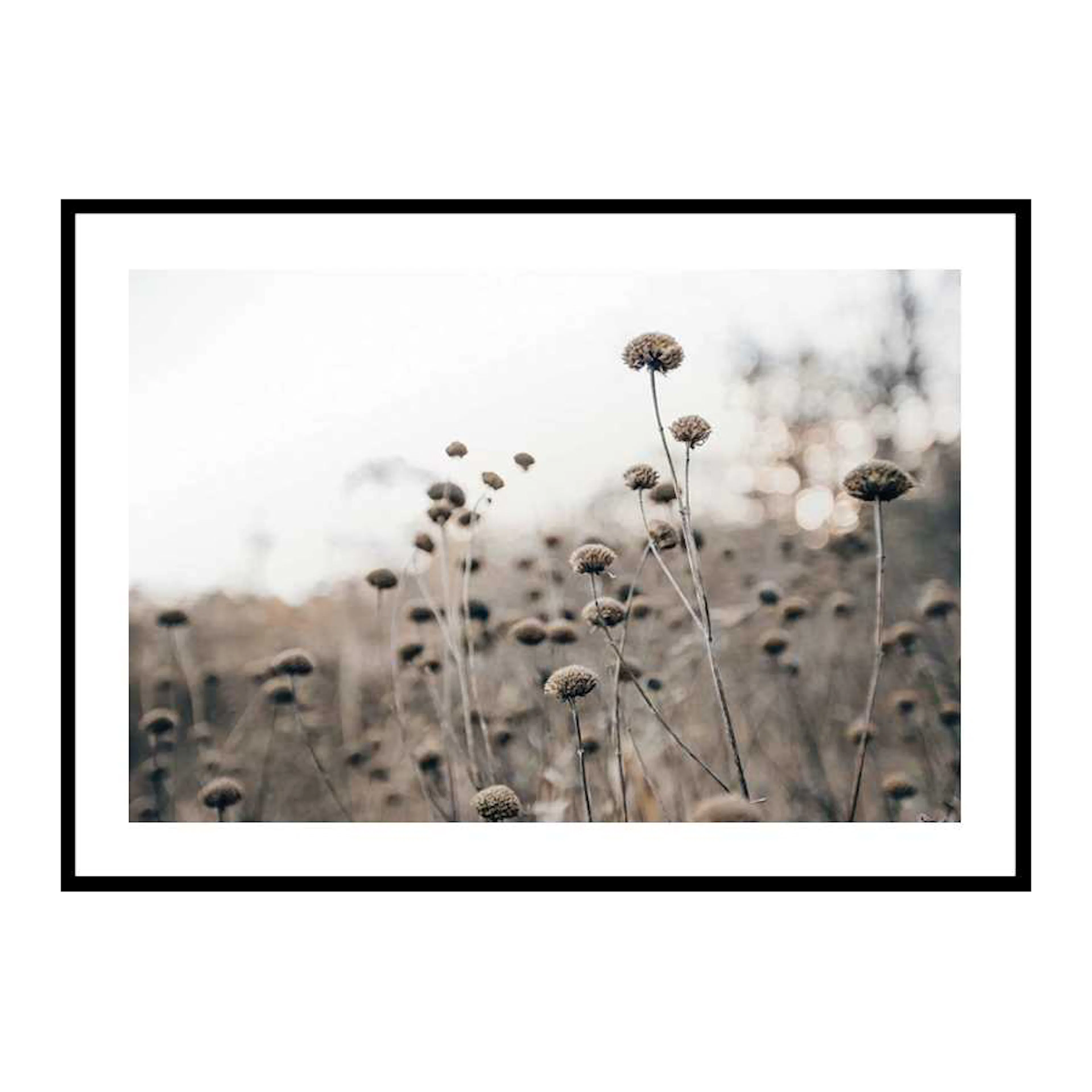 Monochromatic Flowers 30x40 cm