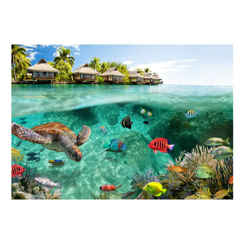 Fototapet Arkiio Under The Surface Of Water