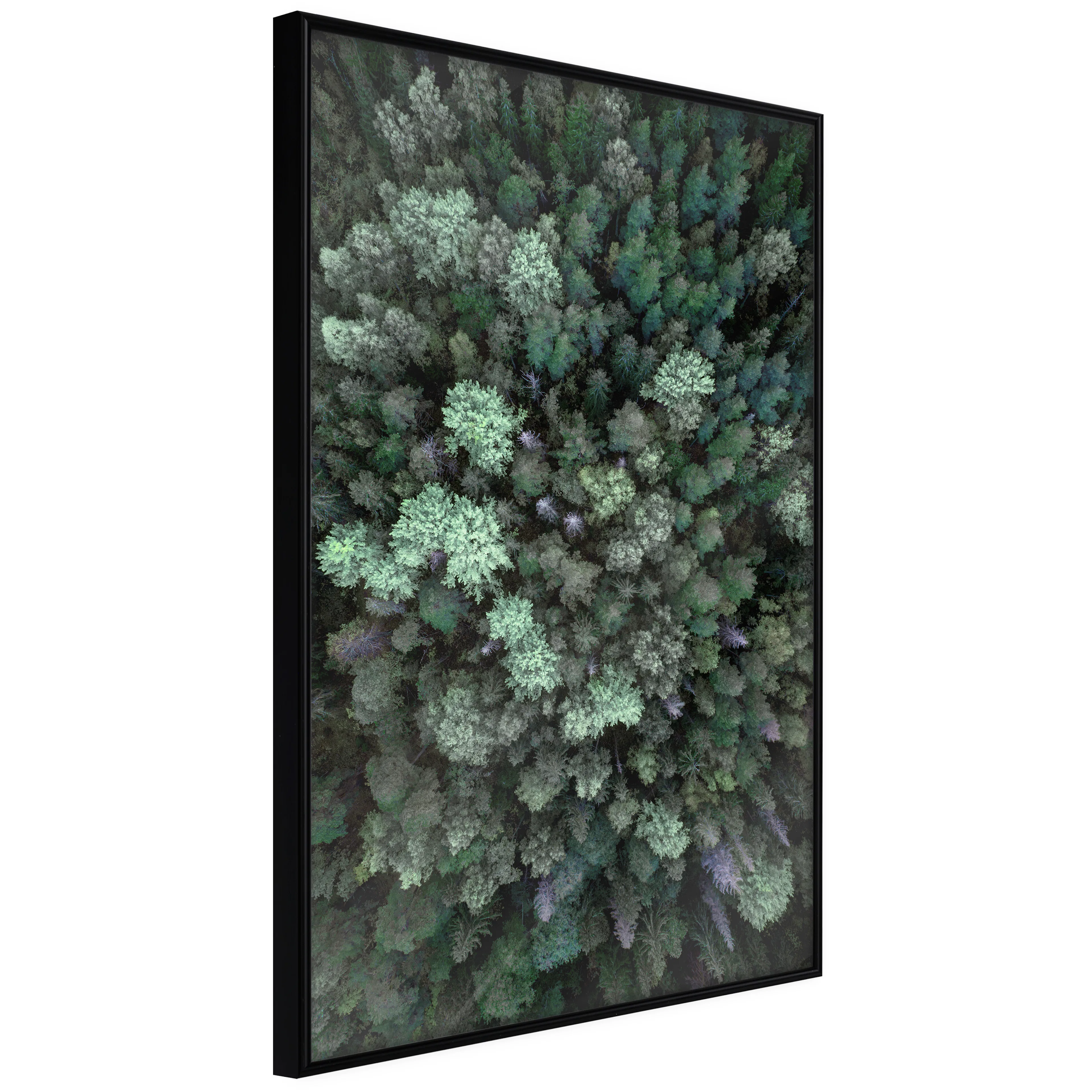 Affisch - Flying Over Forest [Poster] 40x60 Svart ram, 40x60 cm