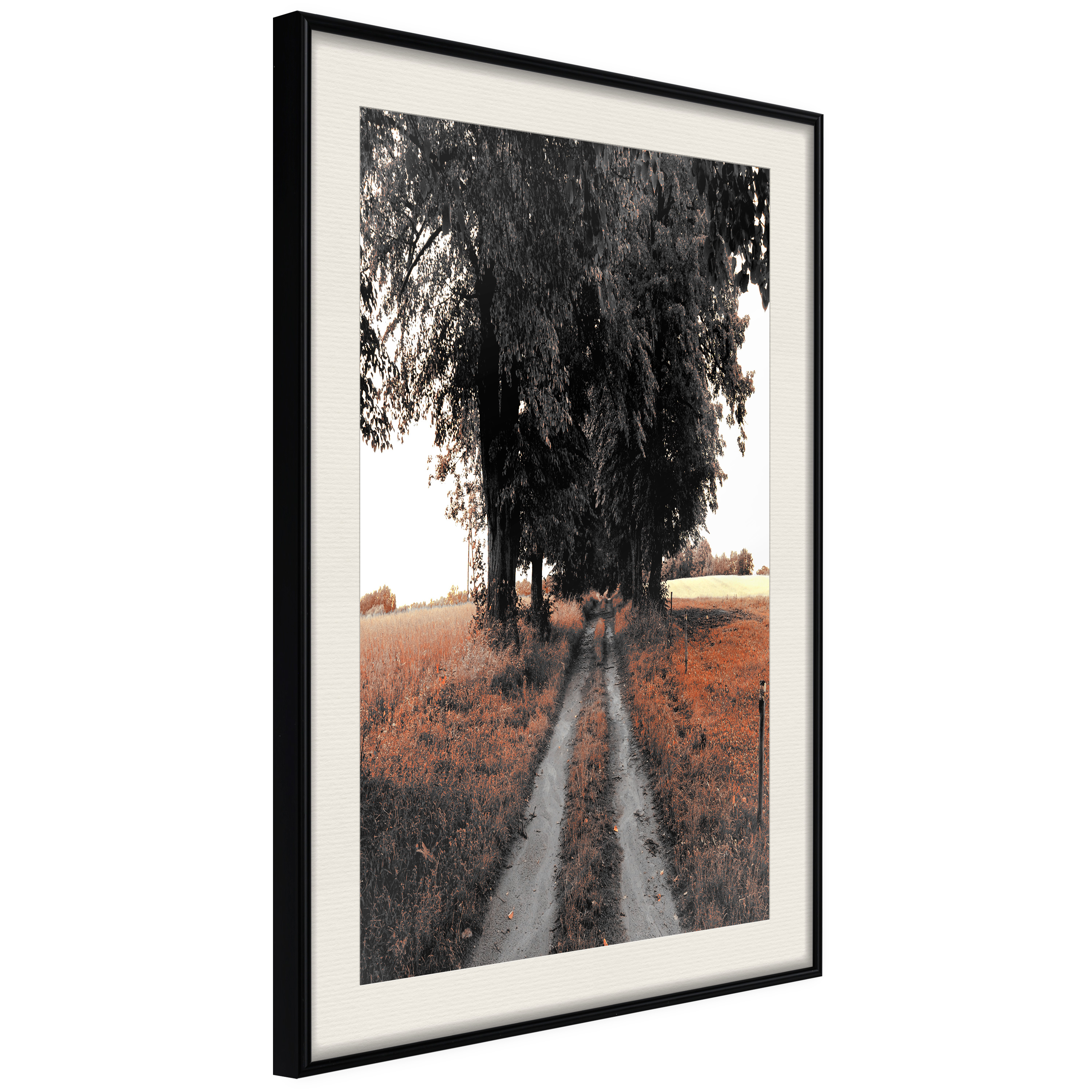 Poster Artgeist Affisch Road to the Forest