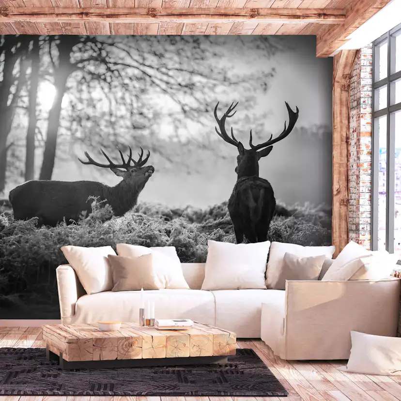 Fototapet Arkiio Deers