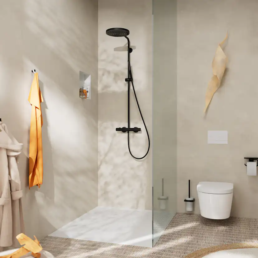 Takduschset Hansgrohe Pulsify S Puro Showerpipe 260 1jet med Ecostat Fine 160cc