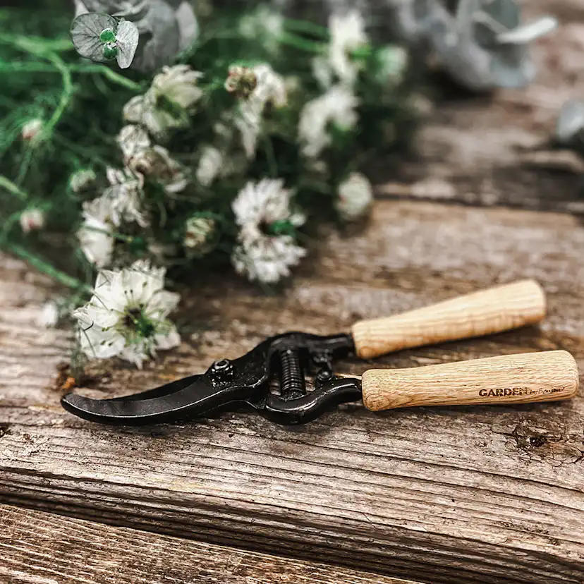 Sekatör by Benson Exclusive