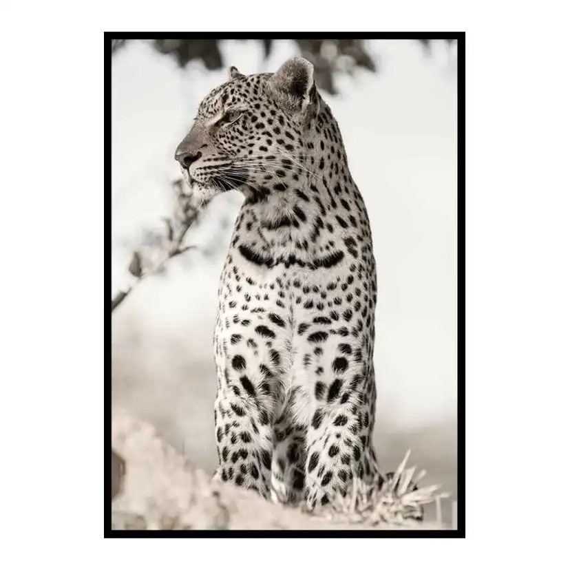 Poster Gallerix African Leopard