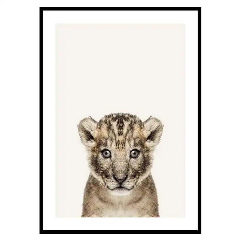 Poster Gallerix Baby Lion