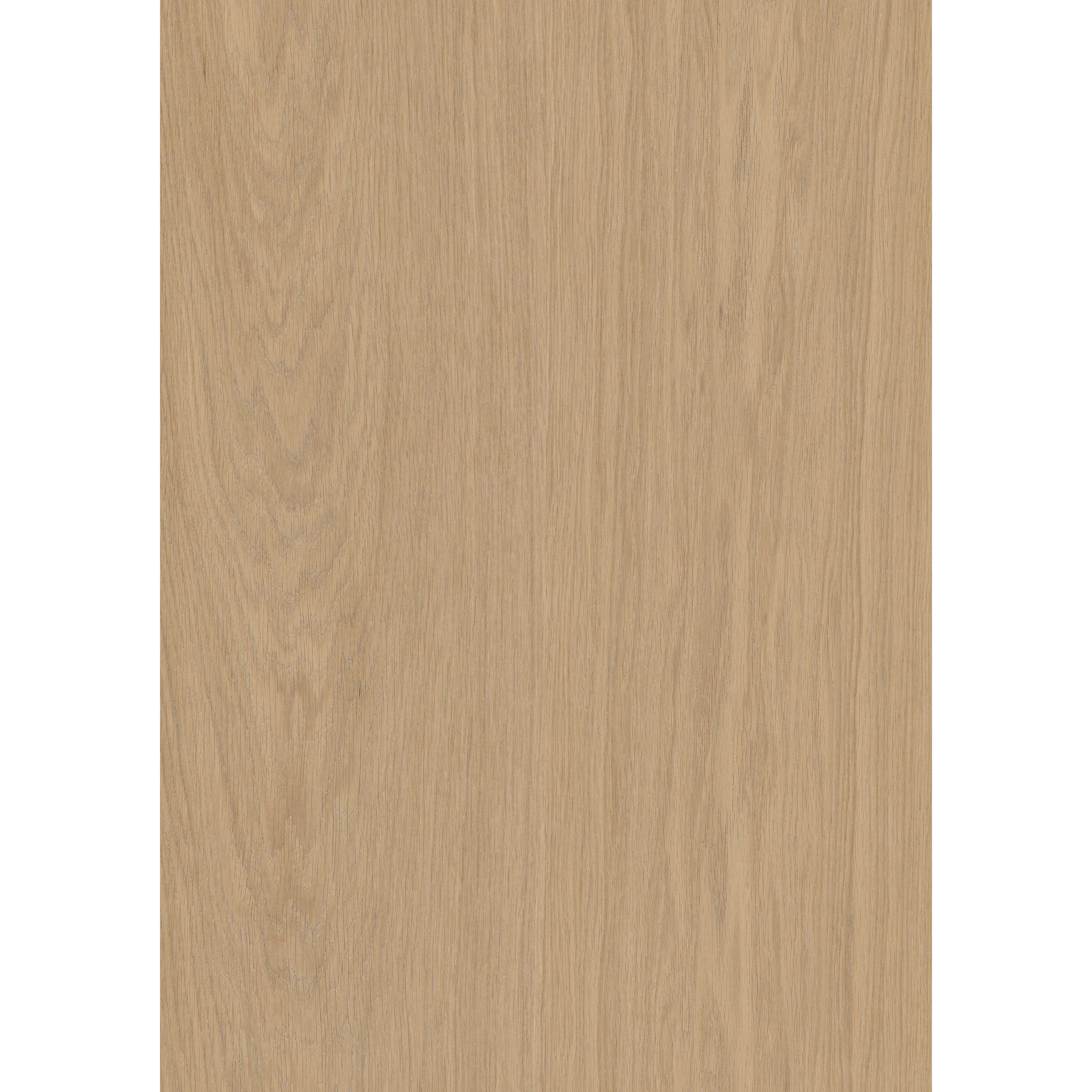 VEJBY 3.0 XL