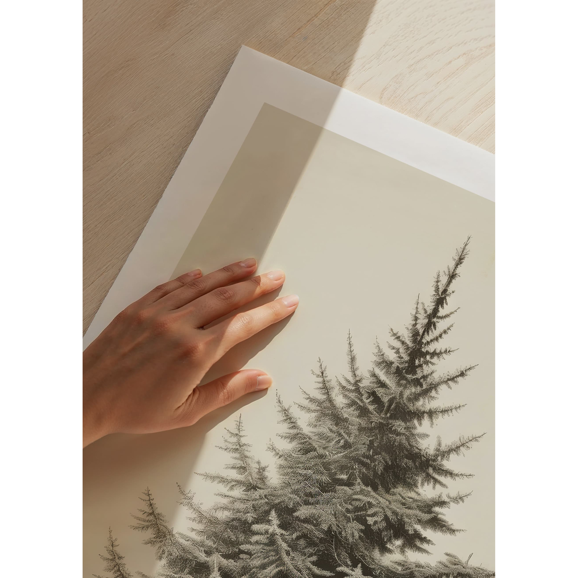 Poster Gallerix Vintage Fir Tree