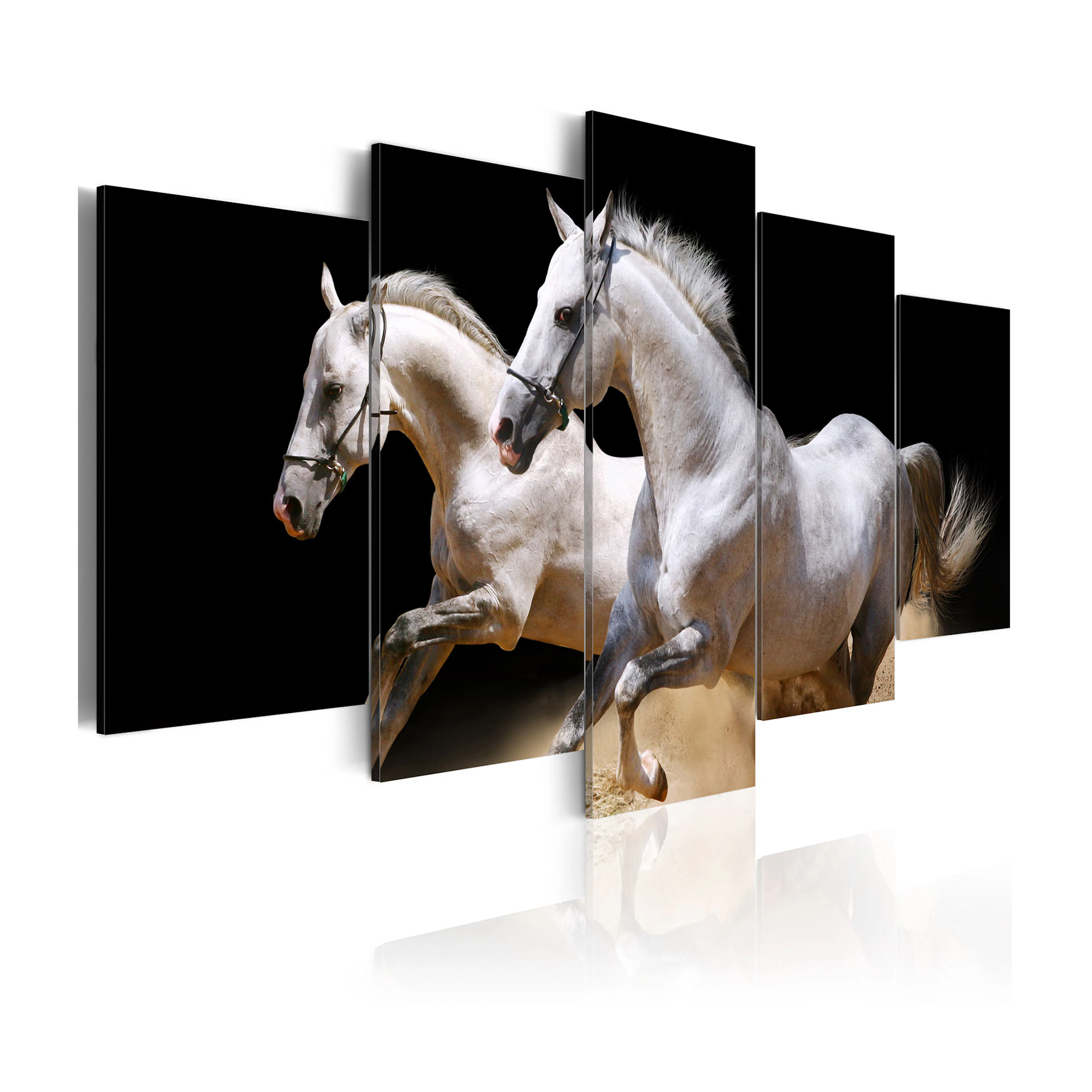 Tavla Arkiio Gallop Freedom And Power