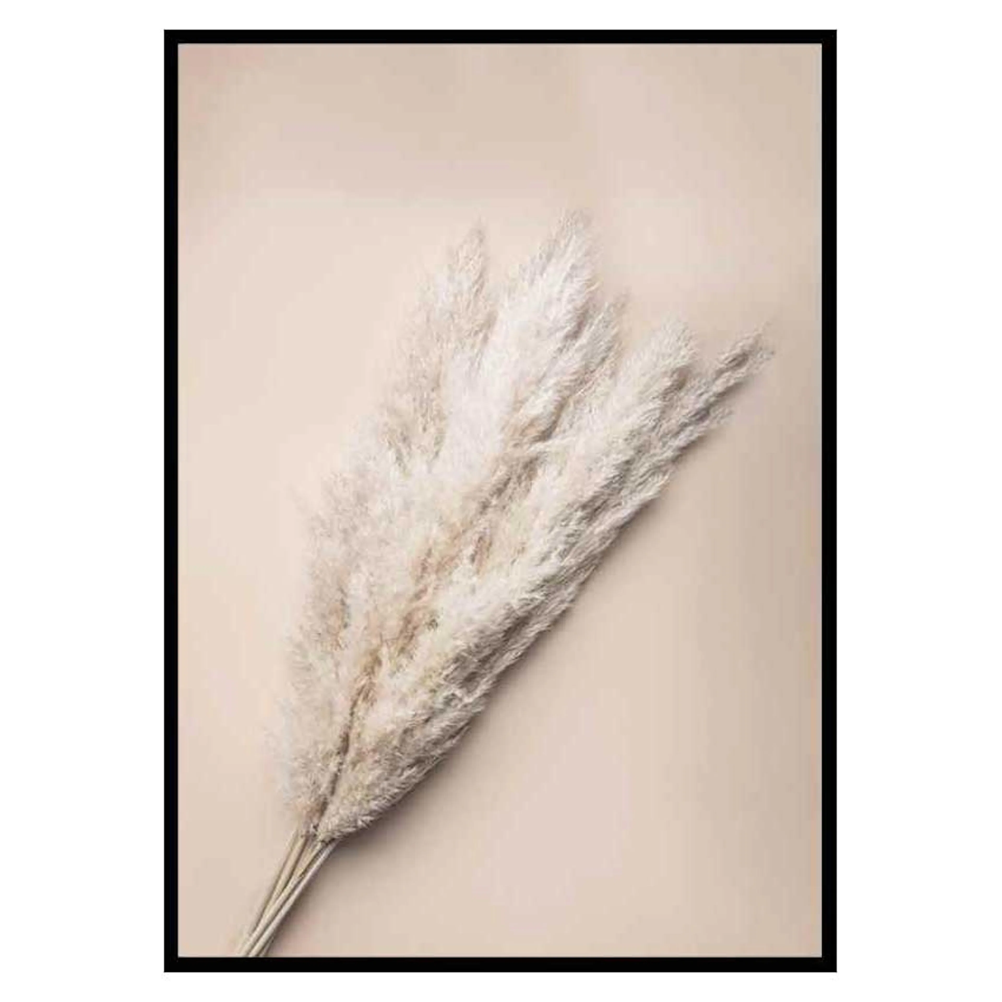 Poster Gallerix Pampas Grass