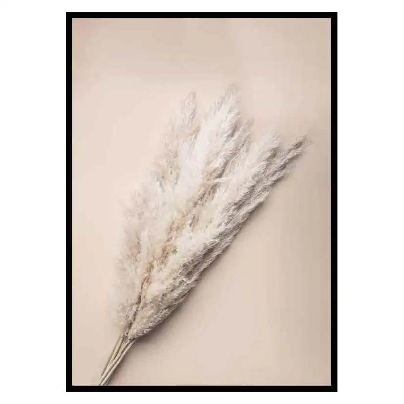 Poster Gallerix Pampas Grass