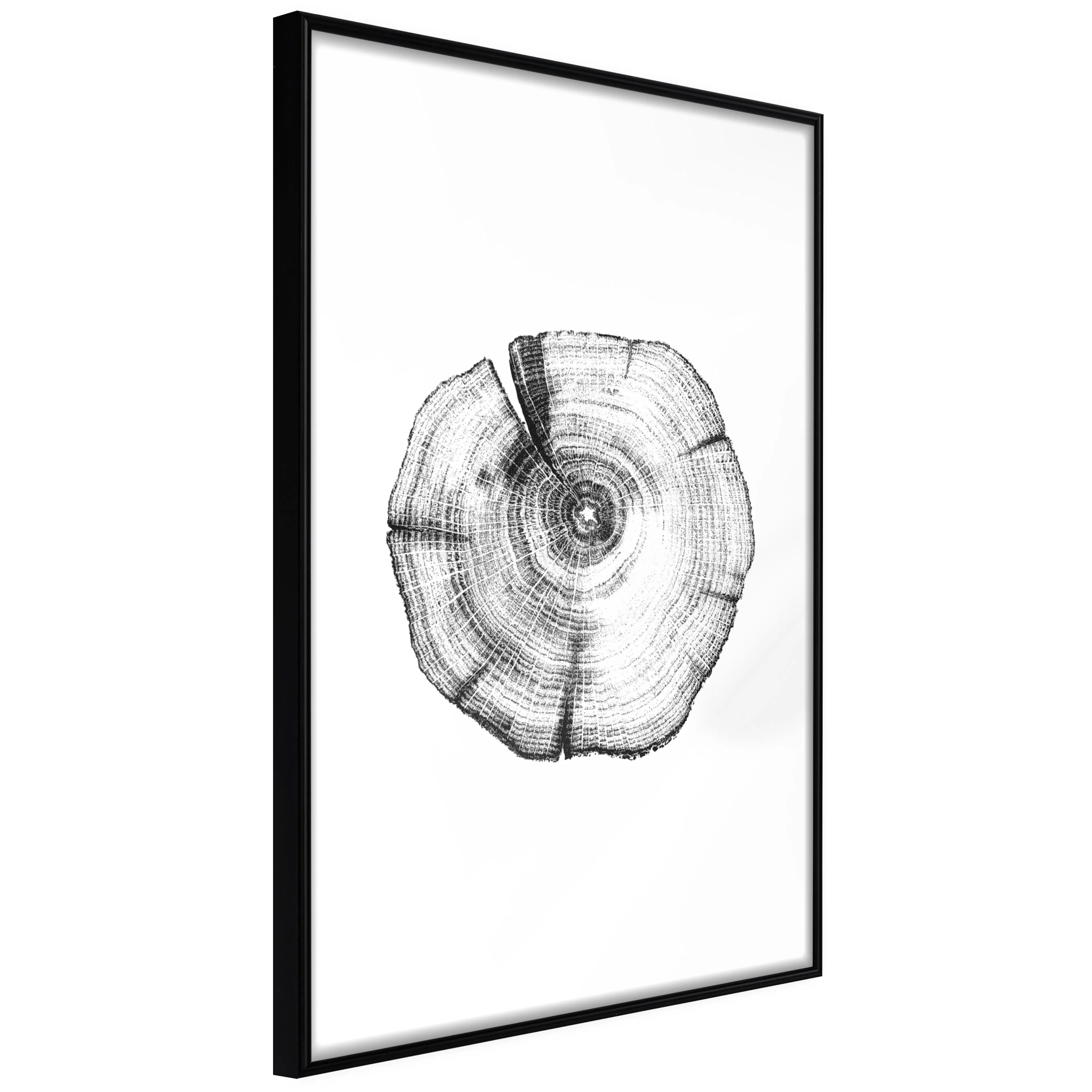 Affisch - Wood Slice [Poster] 40x60 Svart ram, 40x60 cm