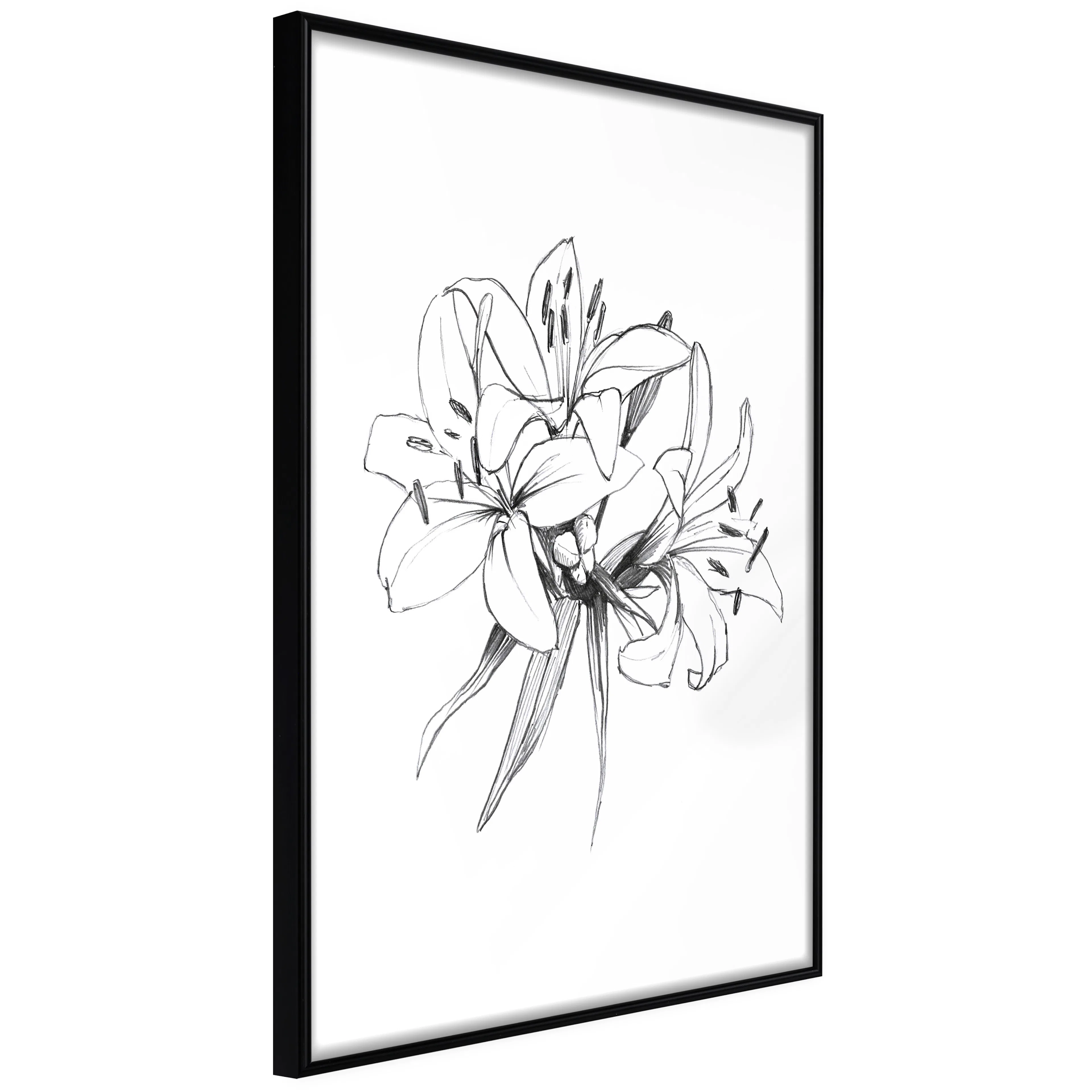 Affisch - Drawn Flowers [Poster] 40x60 Svart ram, 40x60 cm