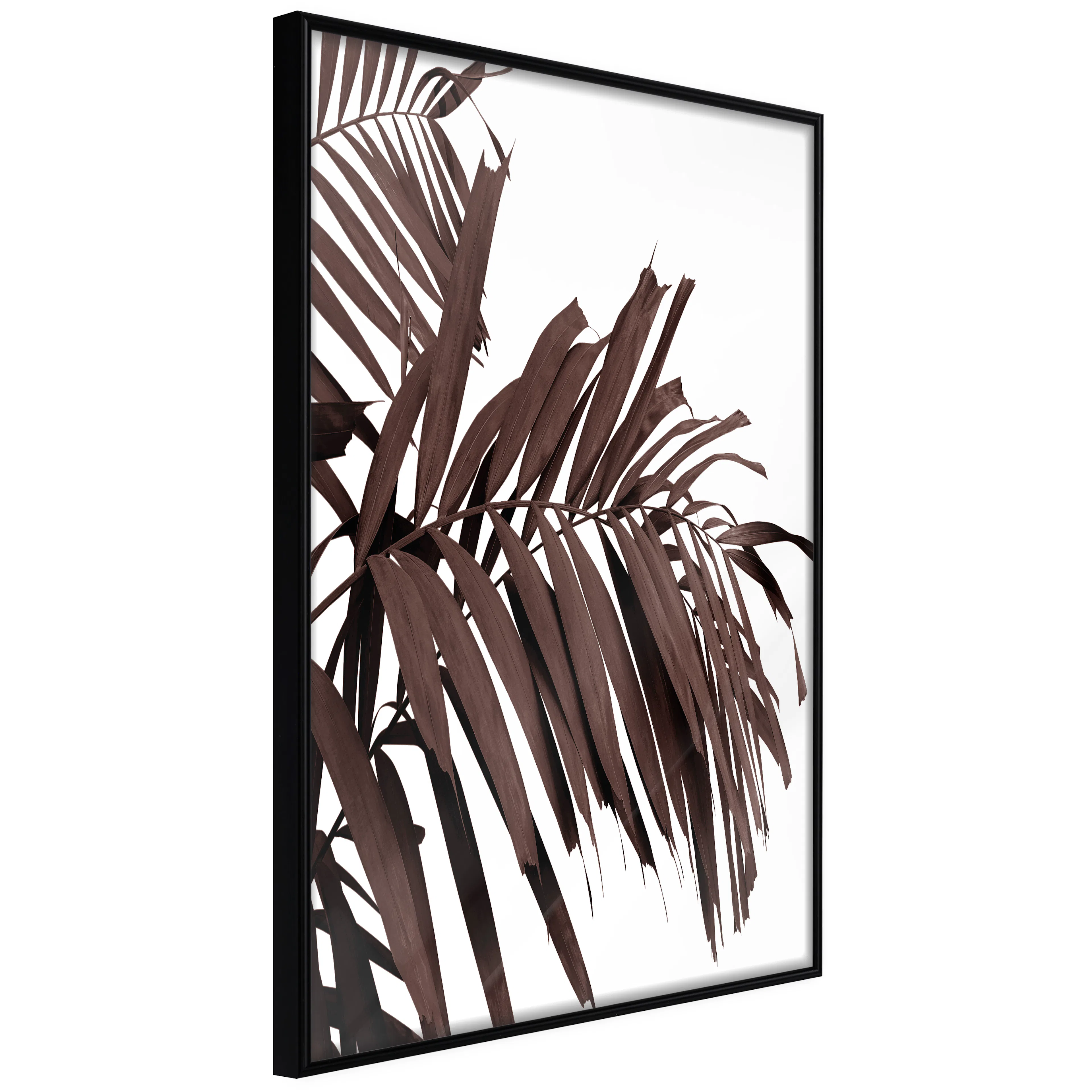 Affisch - Warmed by the Sun [Poster] 40x60 Svart ram, 40x60 cm