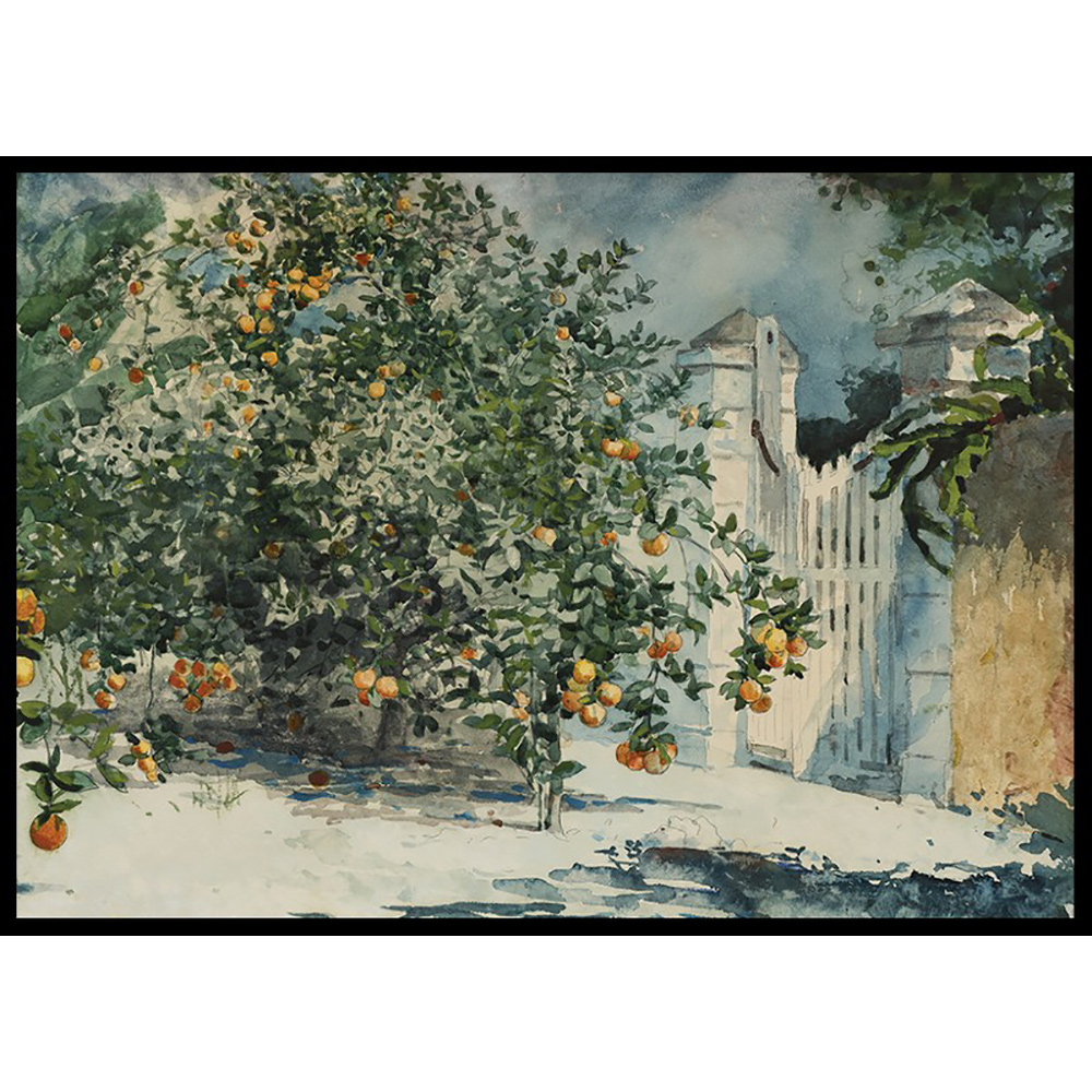 Poster Gallerix Orange Trees And Gate By Winslow Homer