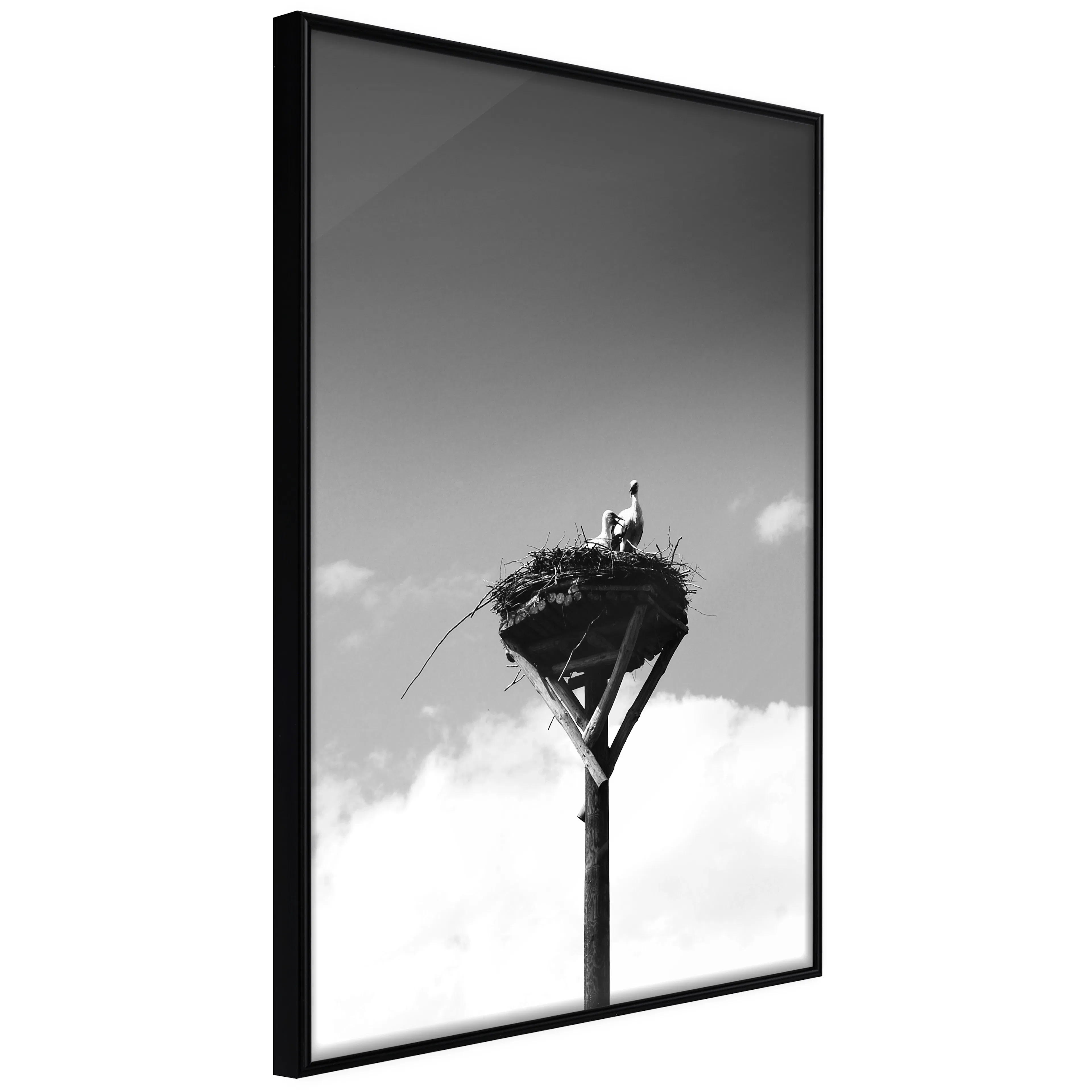 Affisch - Crow's Nest [Poster] 40x60 Svart ram, 40x60 cm