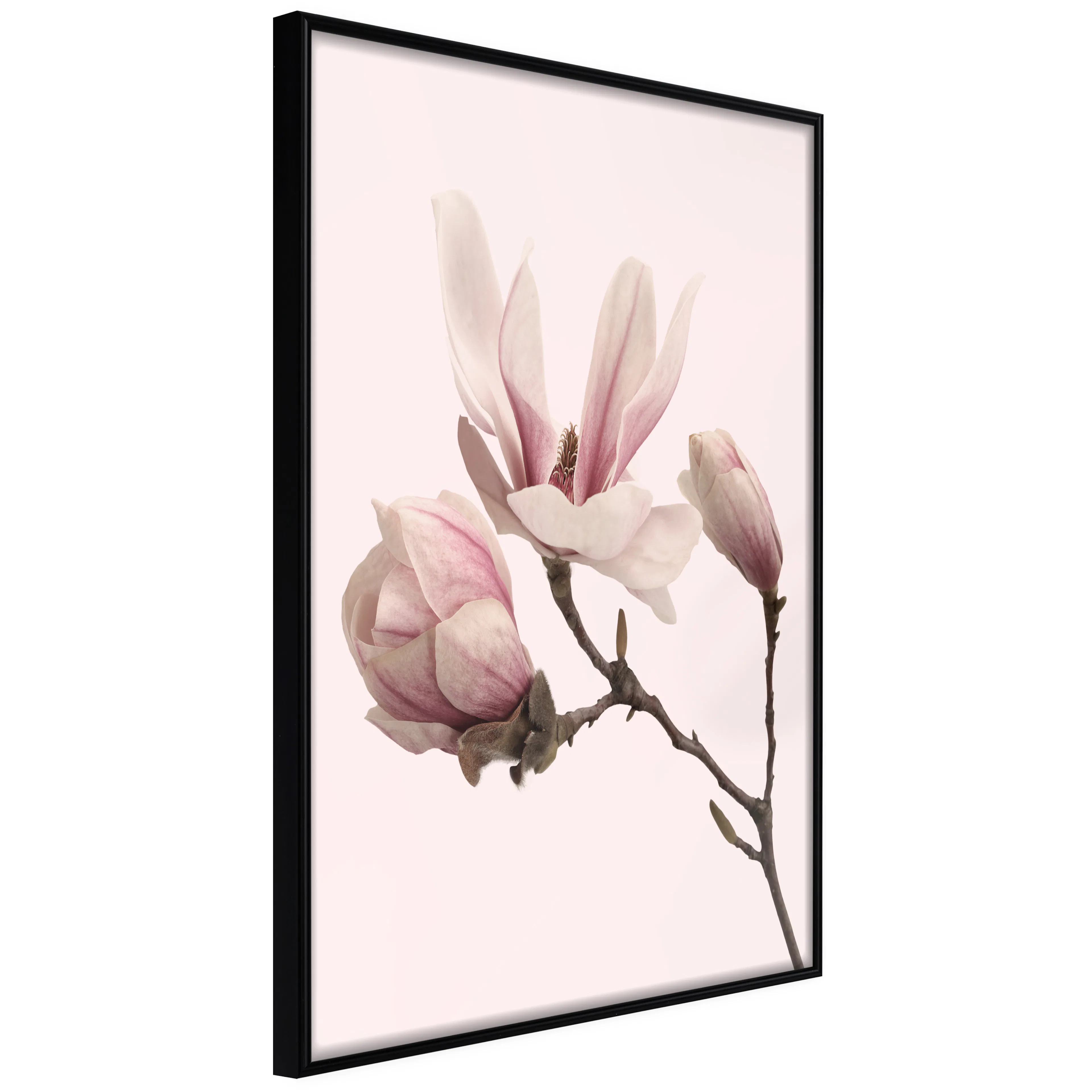 Affisch - Blooming Flowers [Poster] 40x60 Svart ram, 40x60 cm