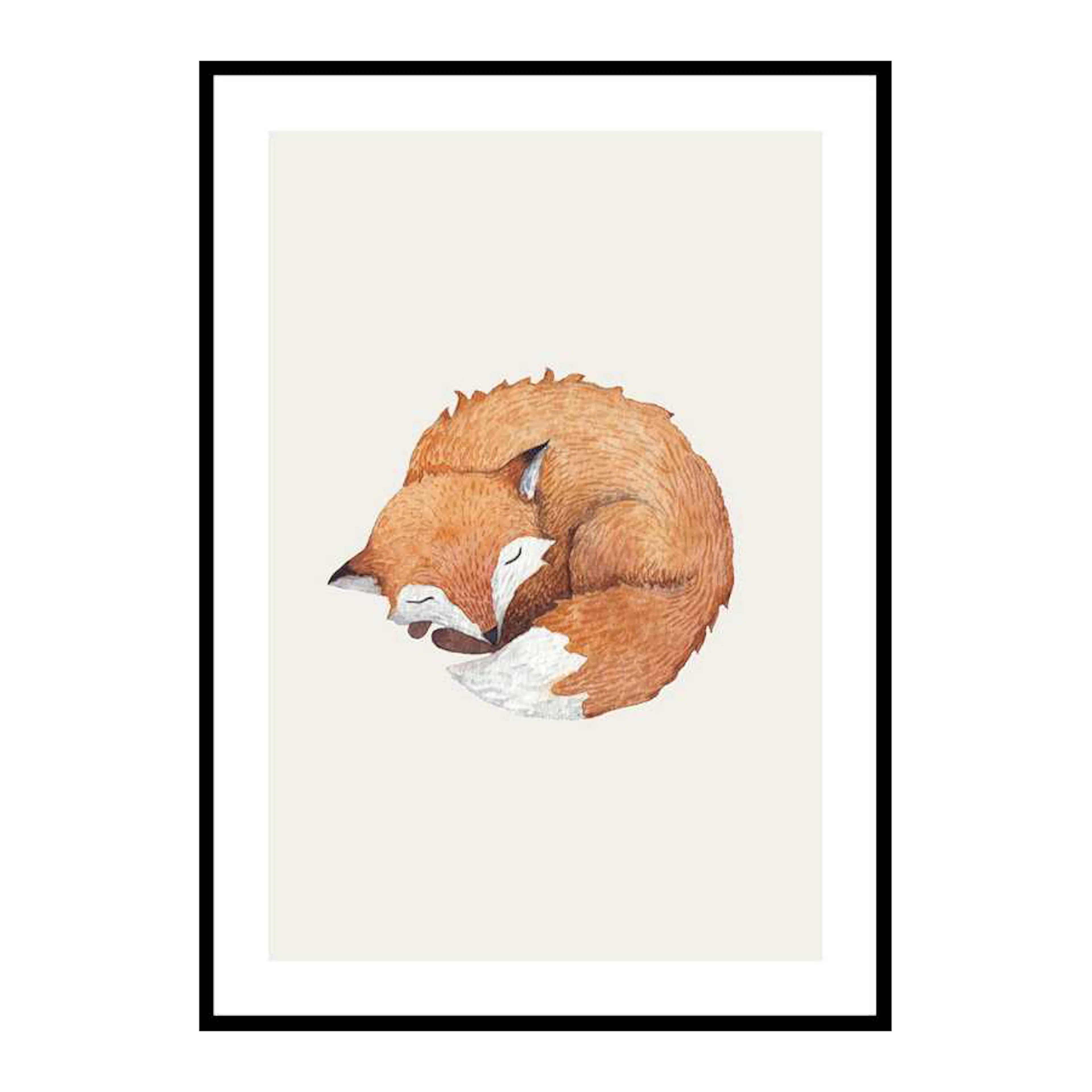 Sleeping Fox 50x70 cm