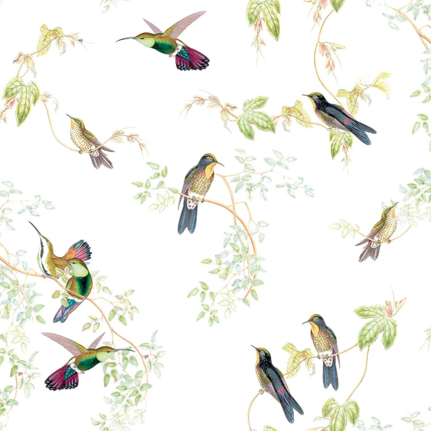 Tapet Art For The Home Fåglar 102026