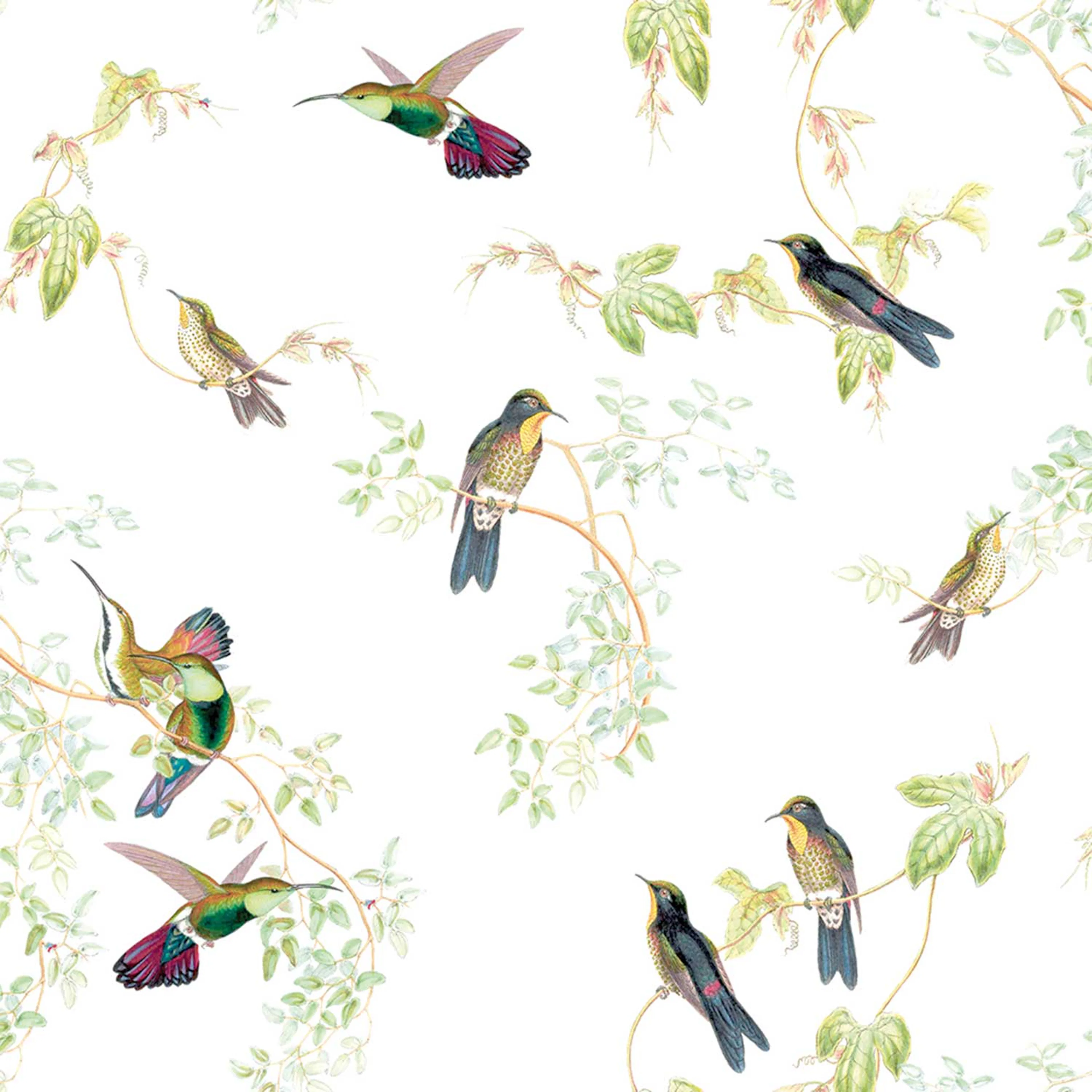 Tapet Art For The Home Fåglar 102026