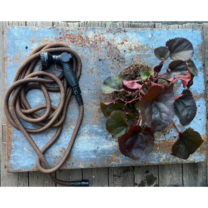 Trädgårdsslang By Benson Deluxe Set Mörk Sand 15 m