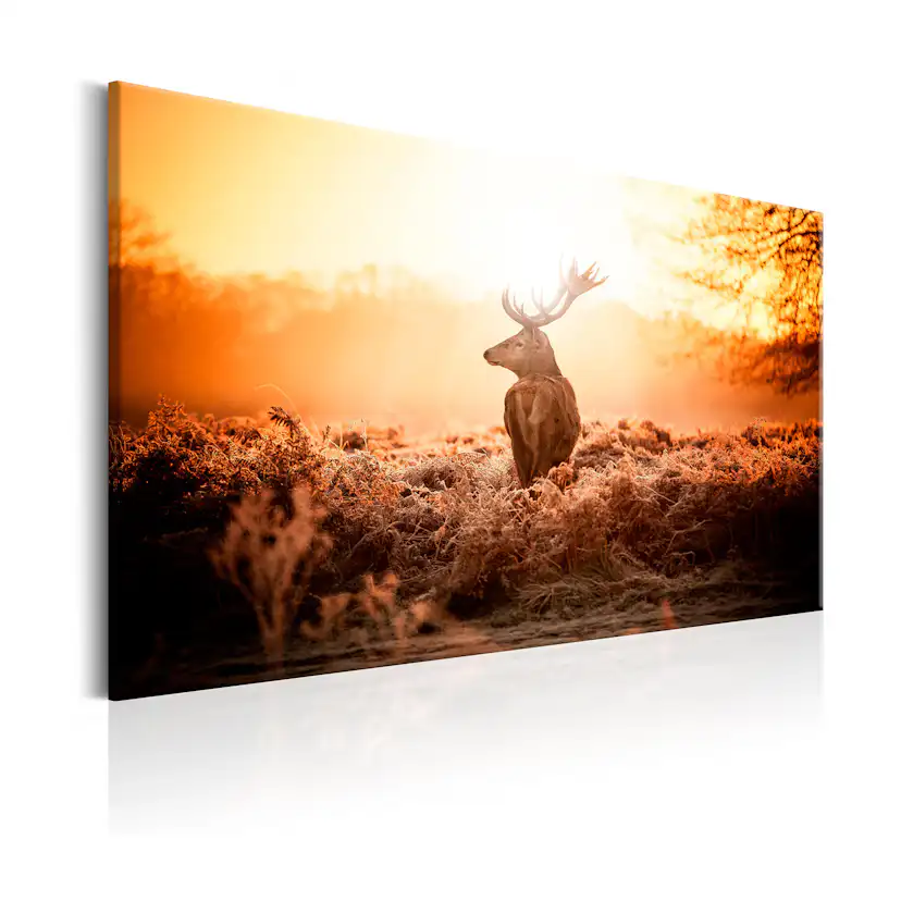 Tavla Arkiio Deer In The Sun