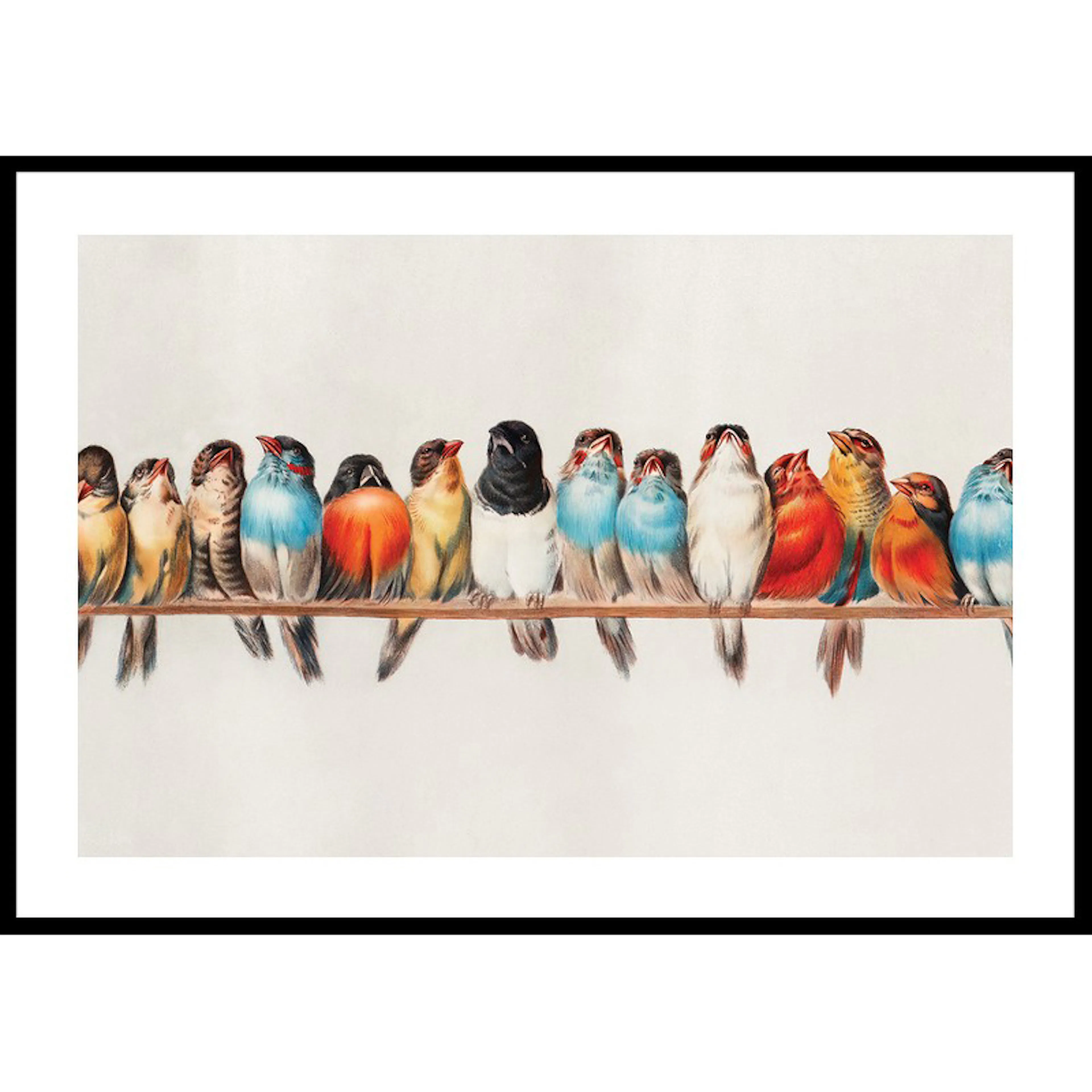 Poster Gallerix Birds In A Row Landscape