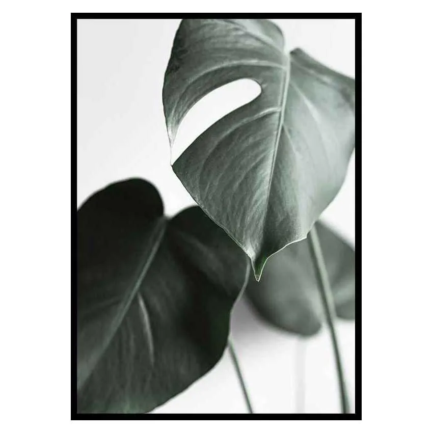 Poster Gallerix Green Leaves No1