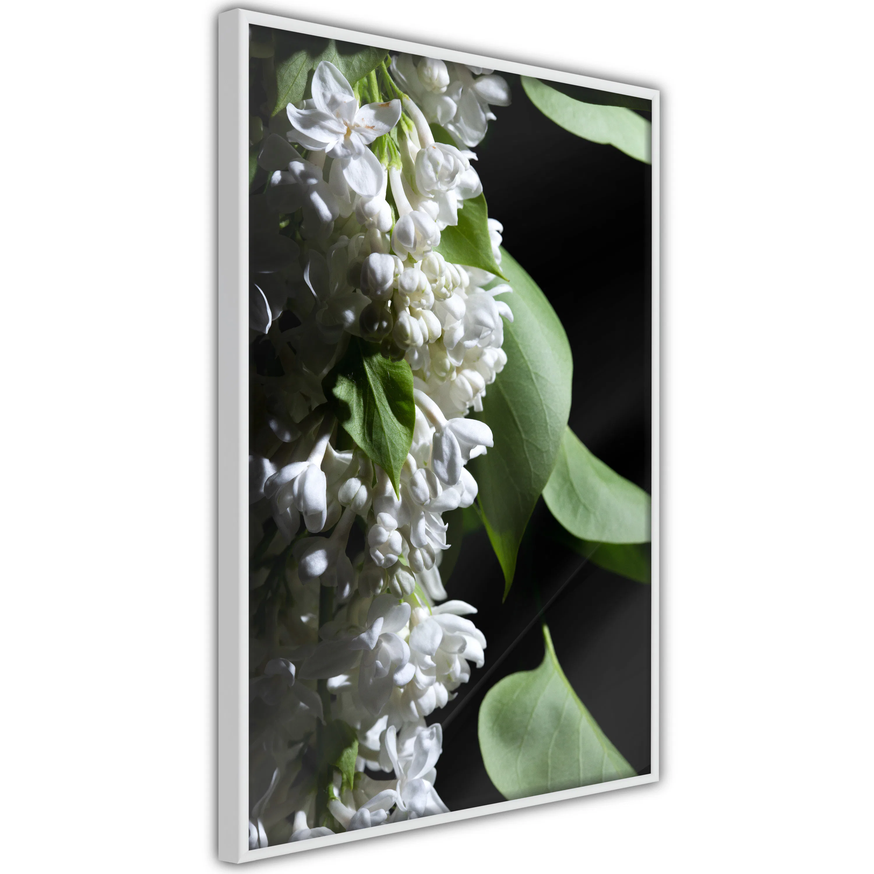 Poster Artgeist Affisch Lilacs Detail